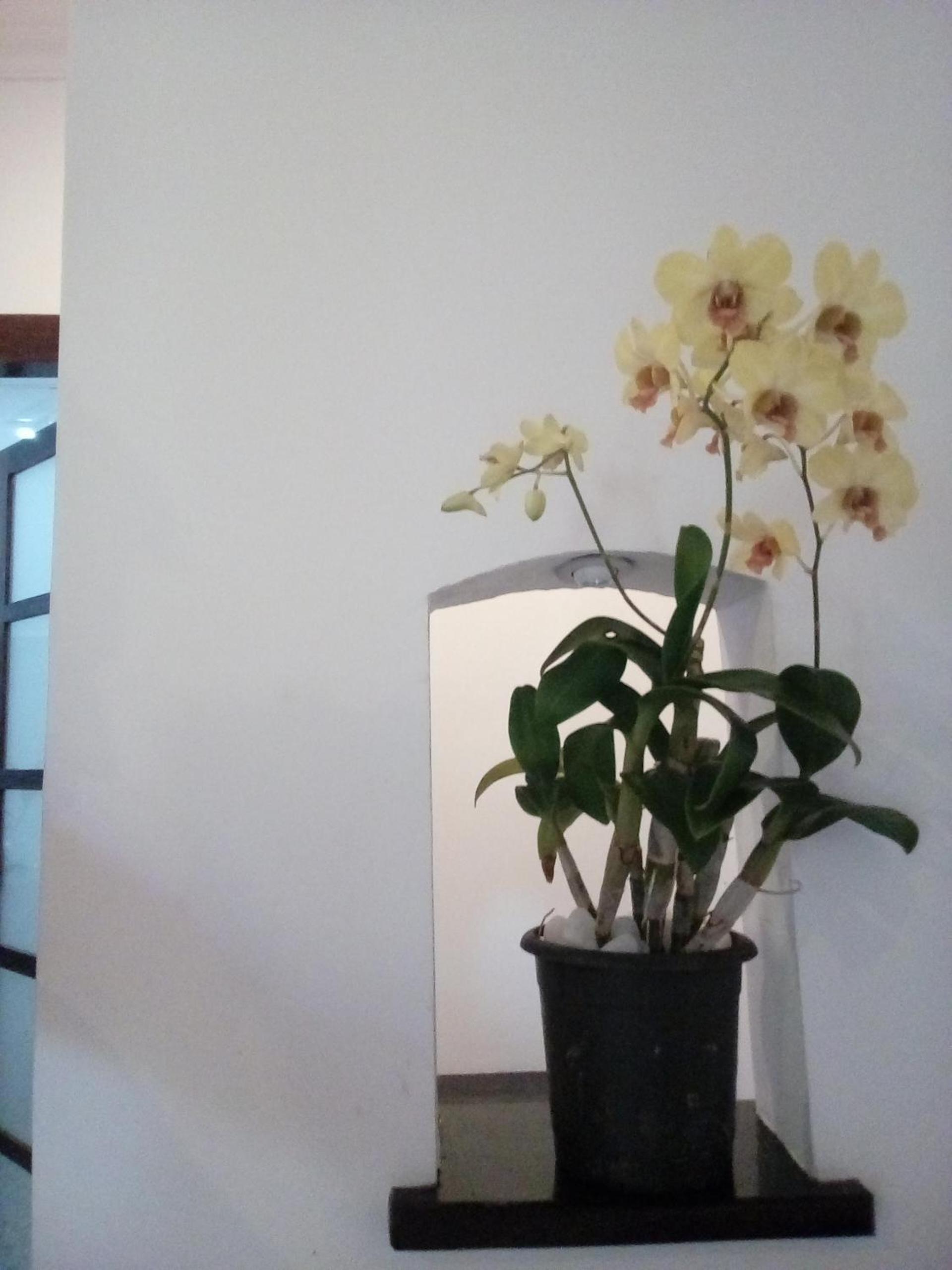 Photo 56