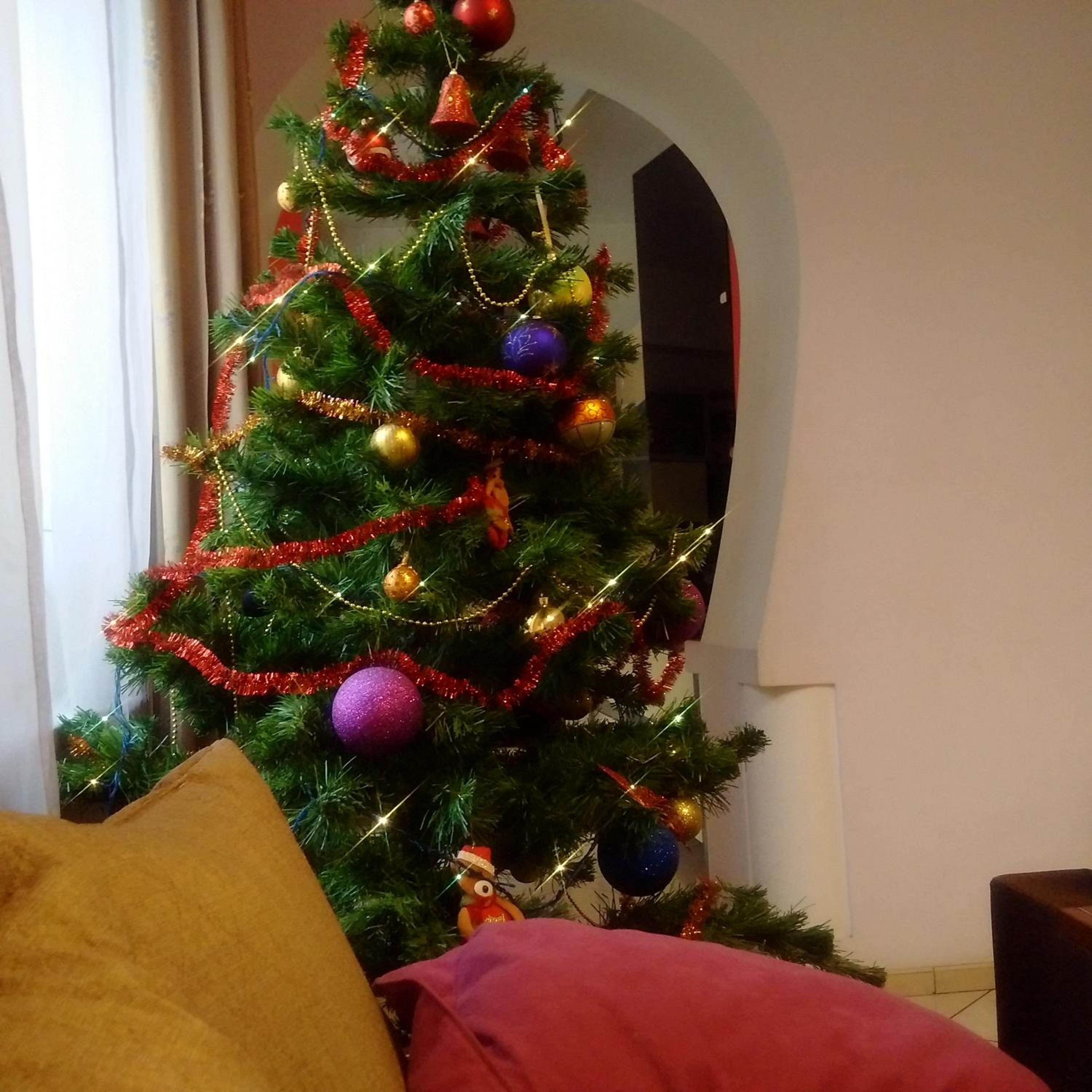 Photo 6