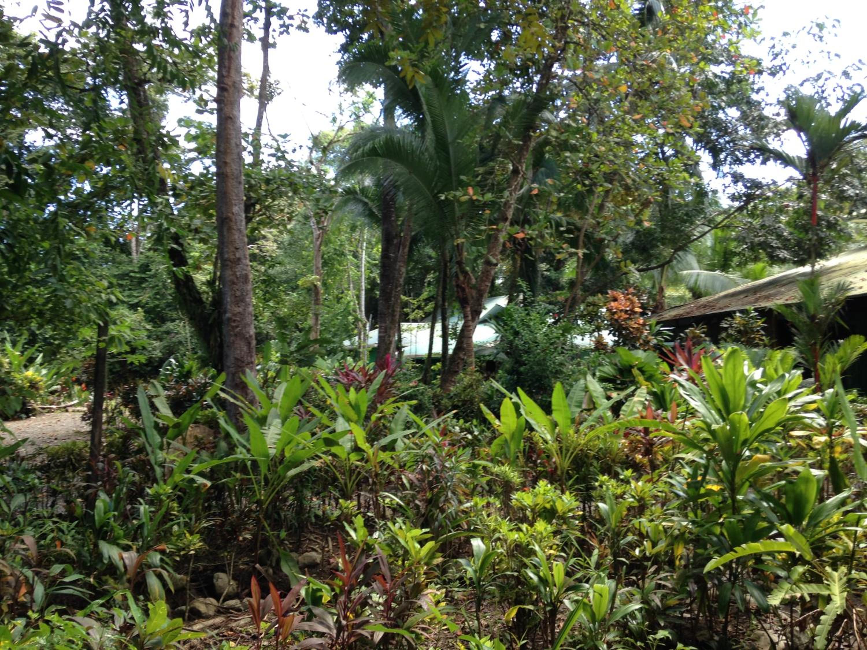 Casa Manglar Villa