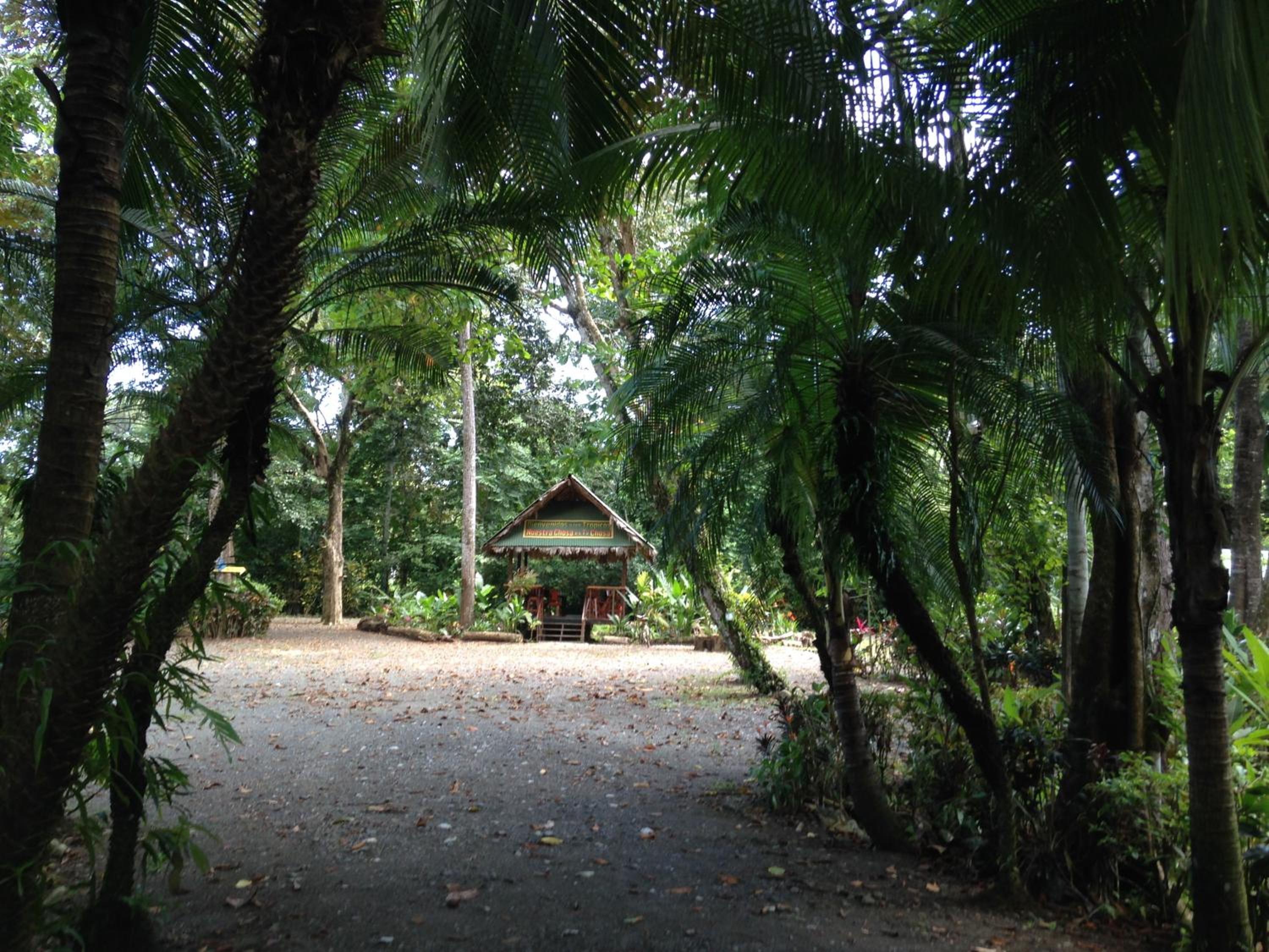 Casa Manglar Villa