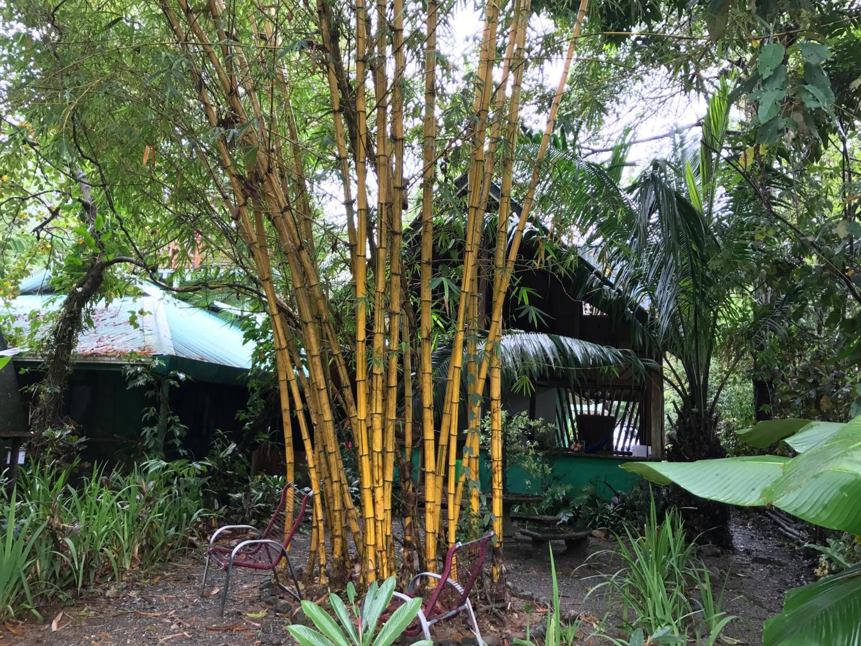 Casa Manglar Villa