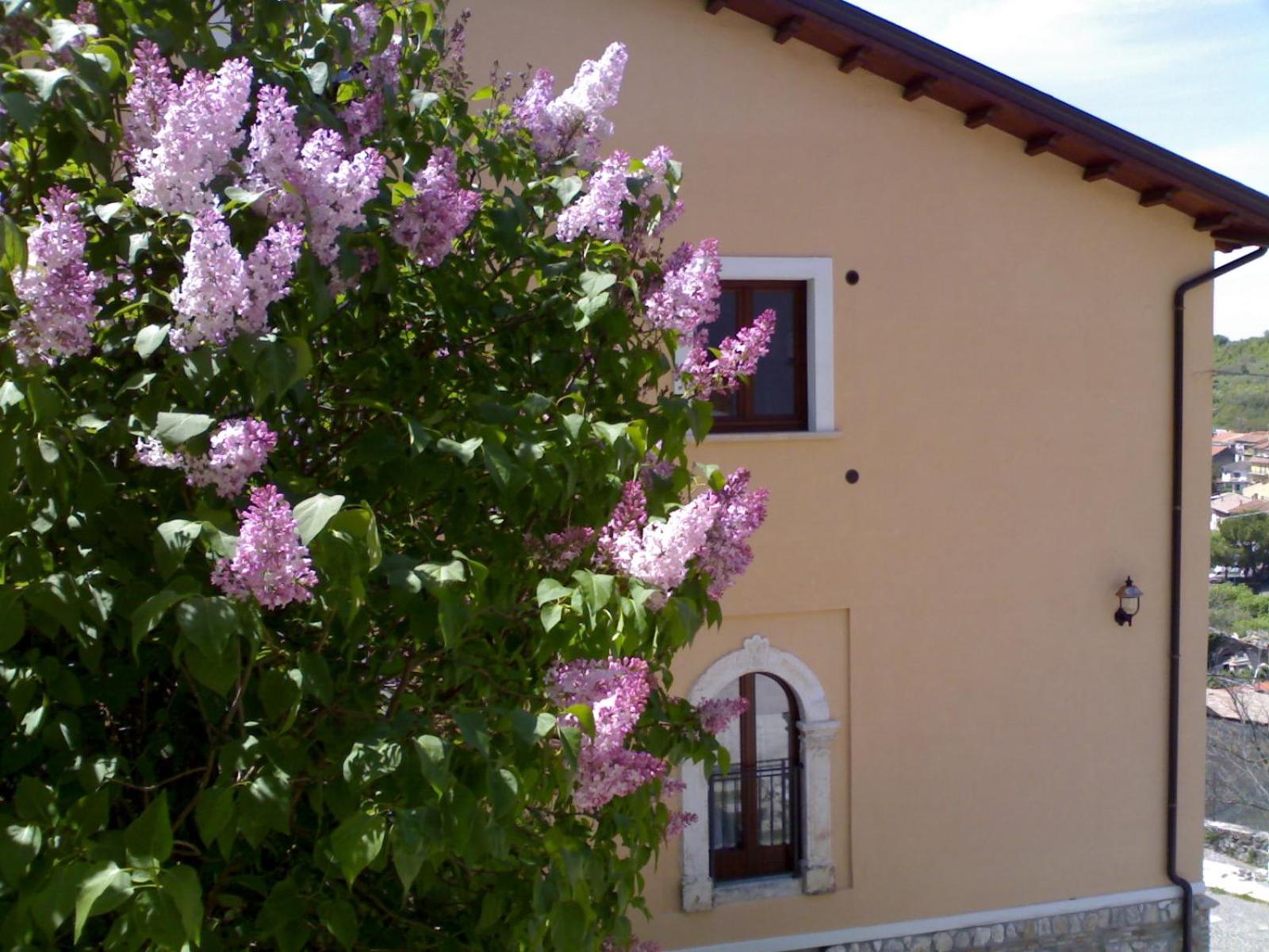 Photo 33