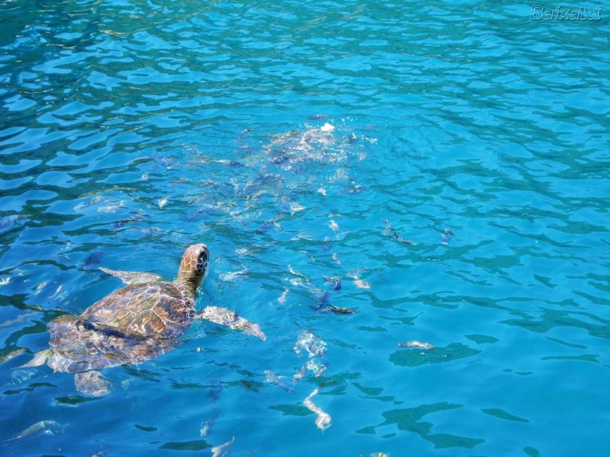 Solares | Verdes Mares