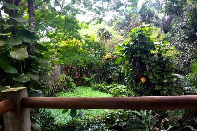 Villa Cachoeira da Rocha