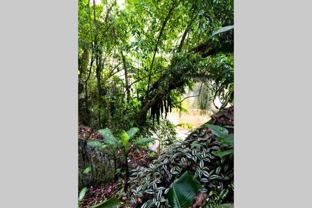 Villa Cachoeira da Rocha