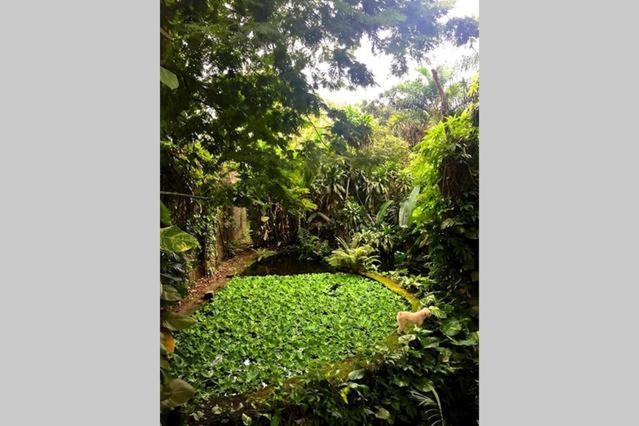 Villa Cachoeira da Rocha