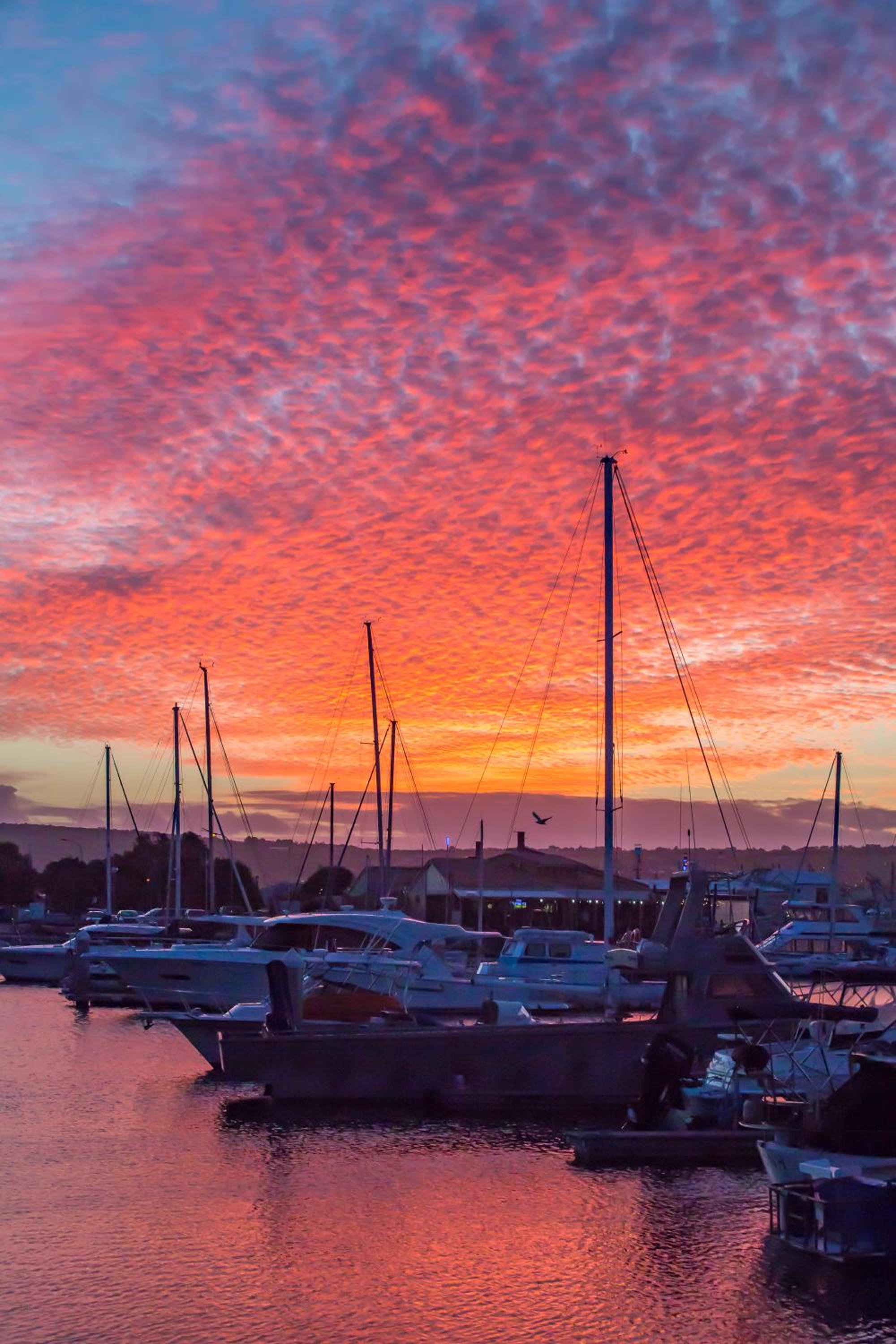 Marina Reflections