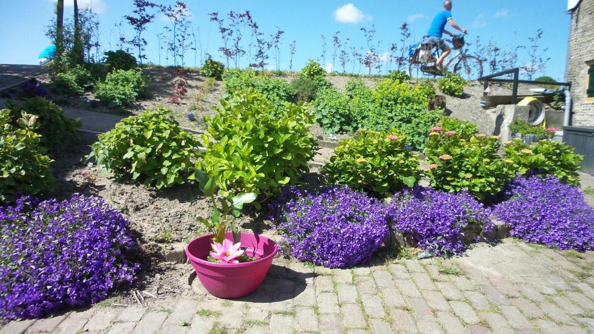 B&B Rechthuis van Zouteveen