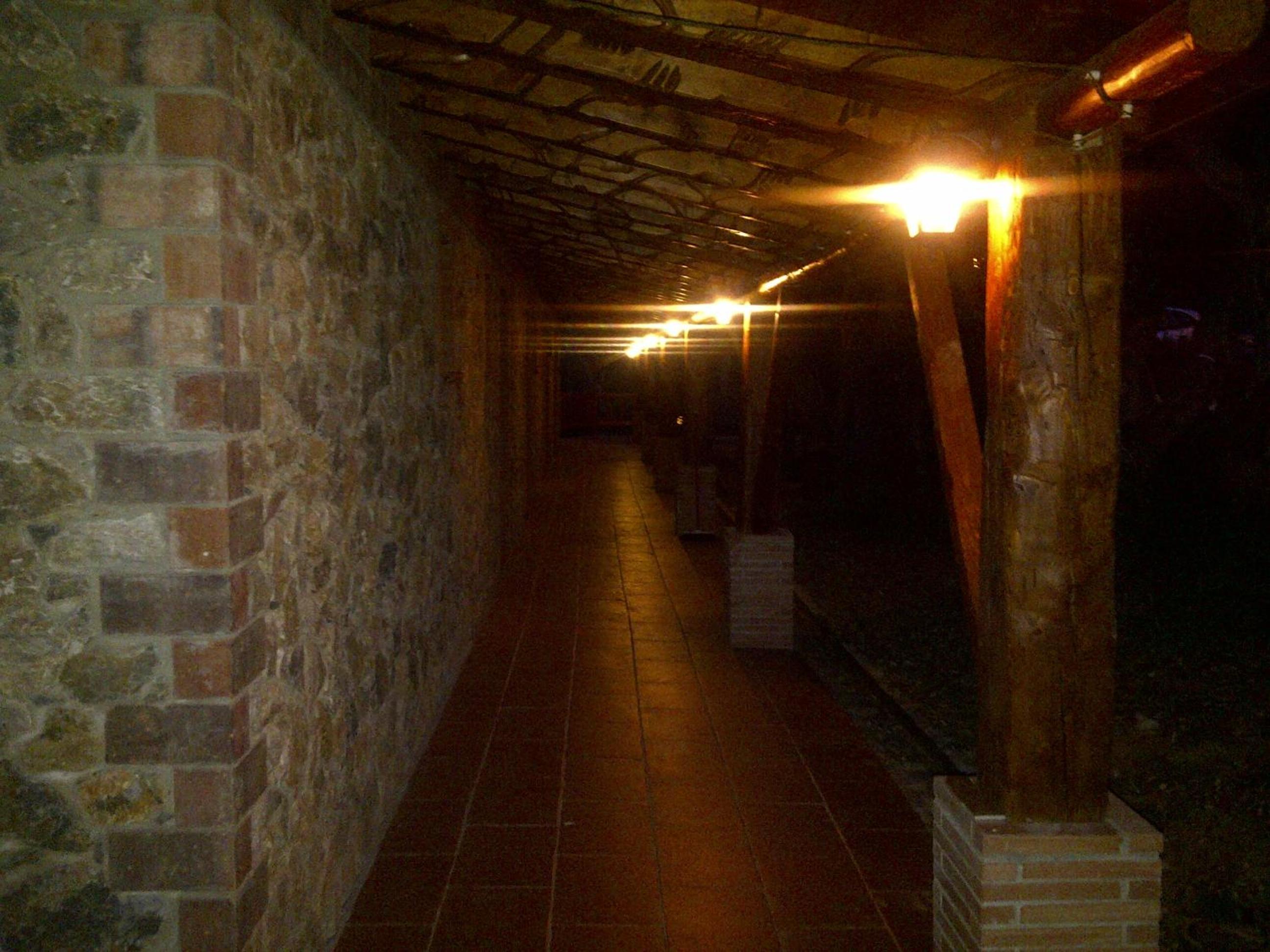 Photo 62