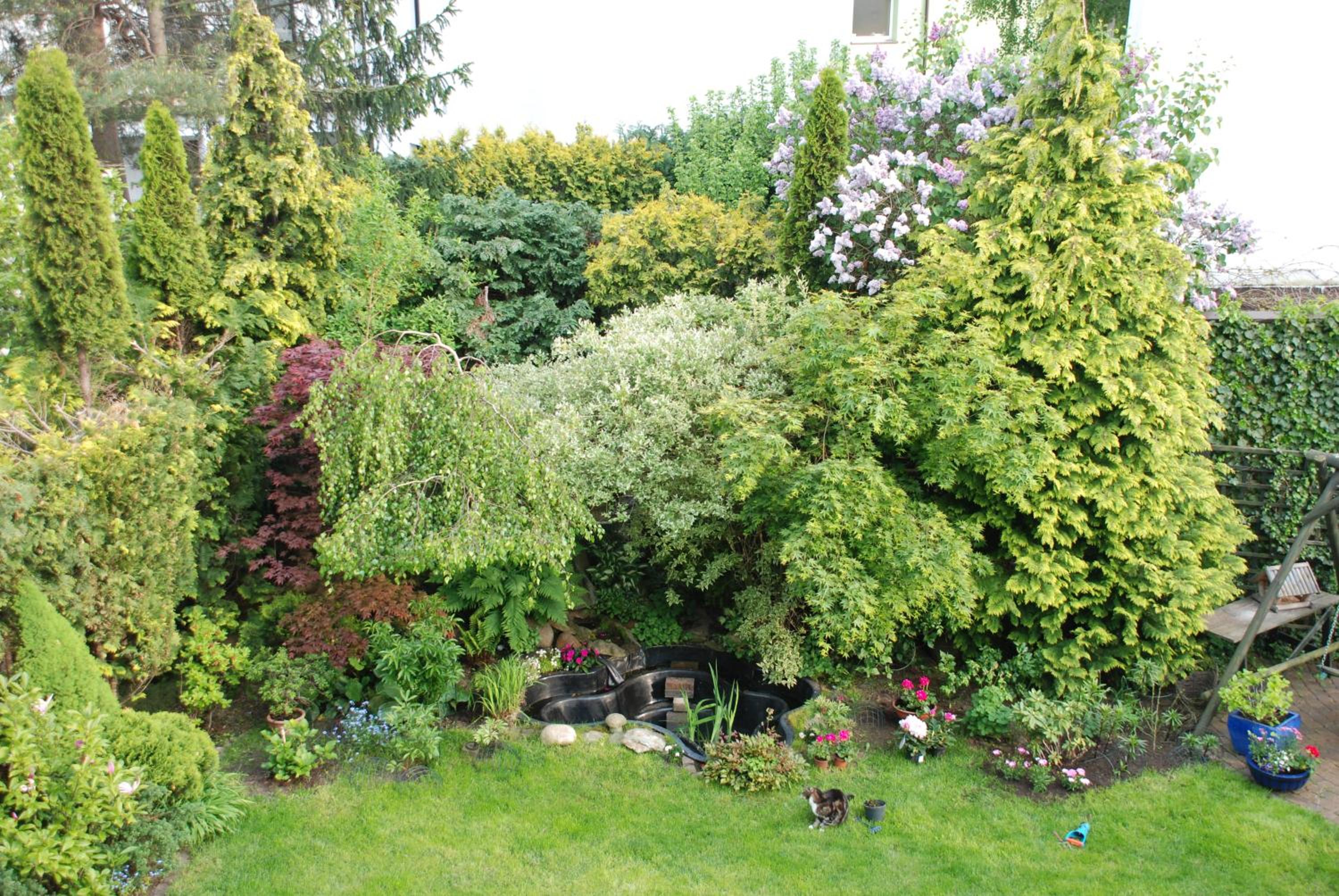 Photo 21