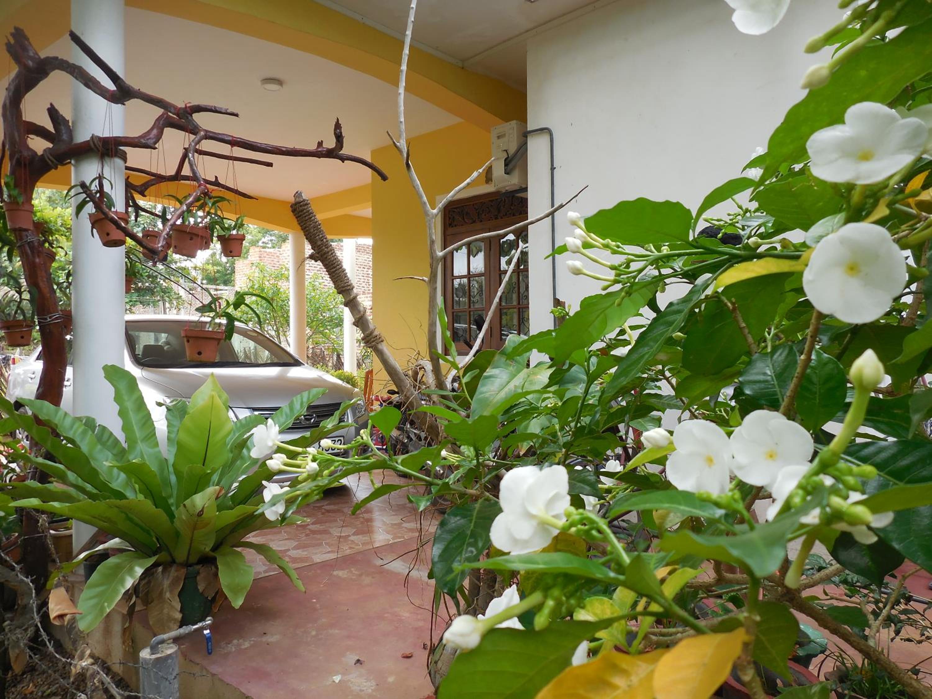 Diyawara Home Stay