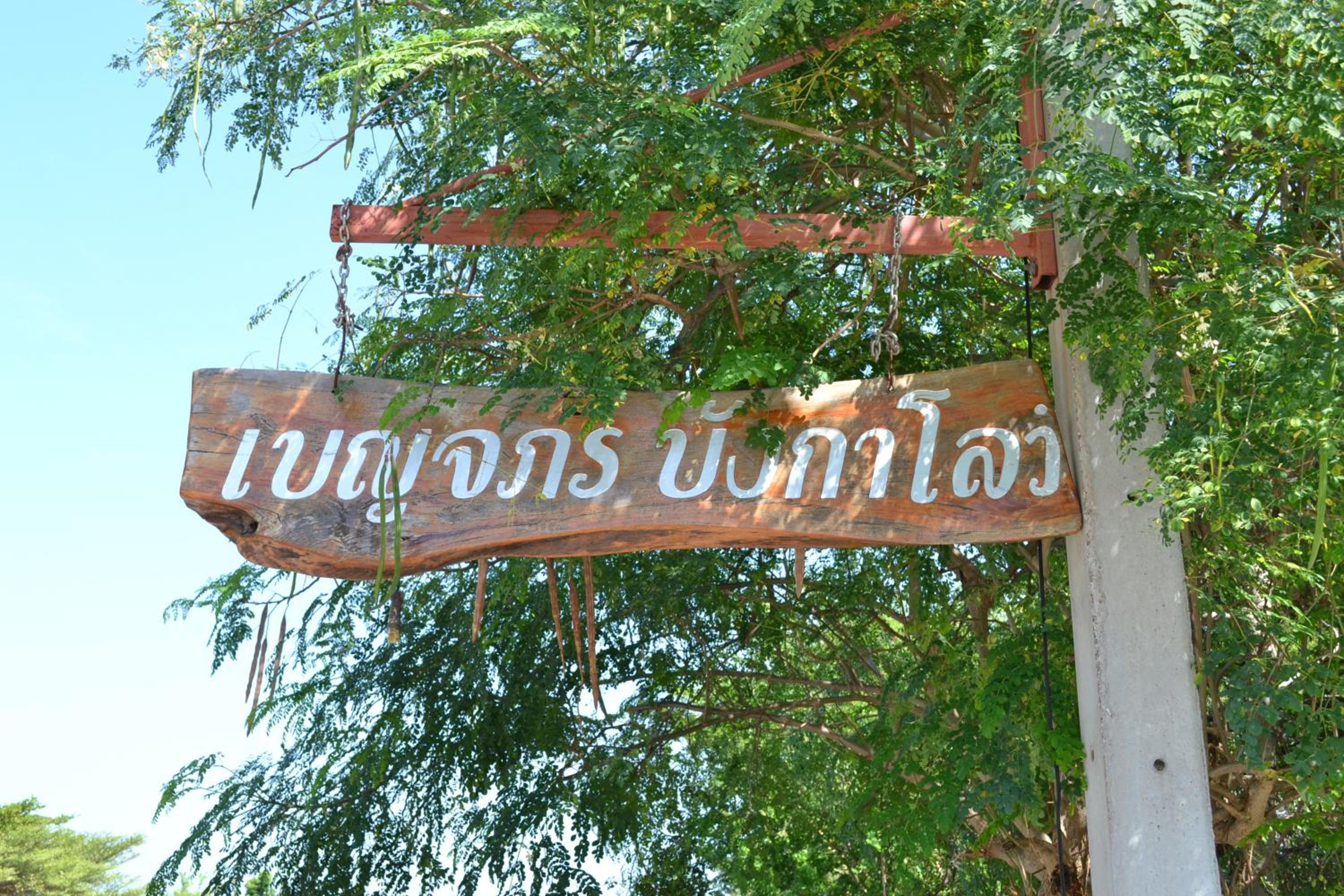 Beluga koh Sichang