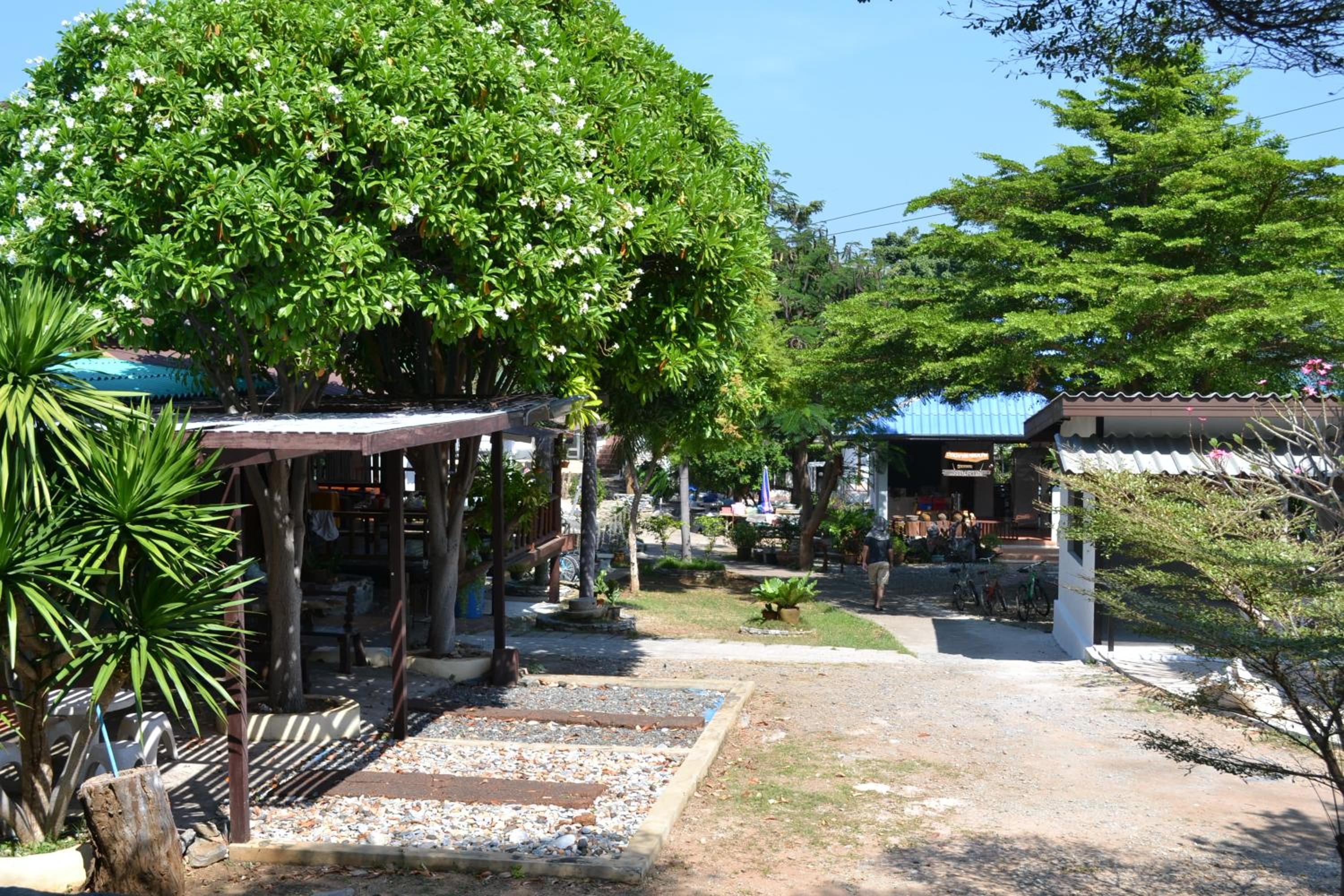 Beluga koh Sichang