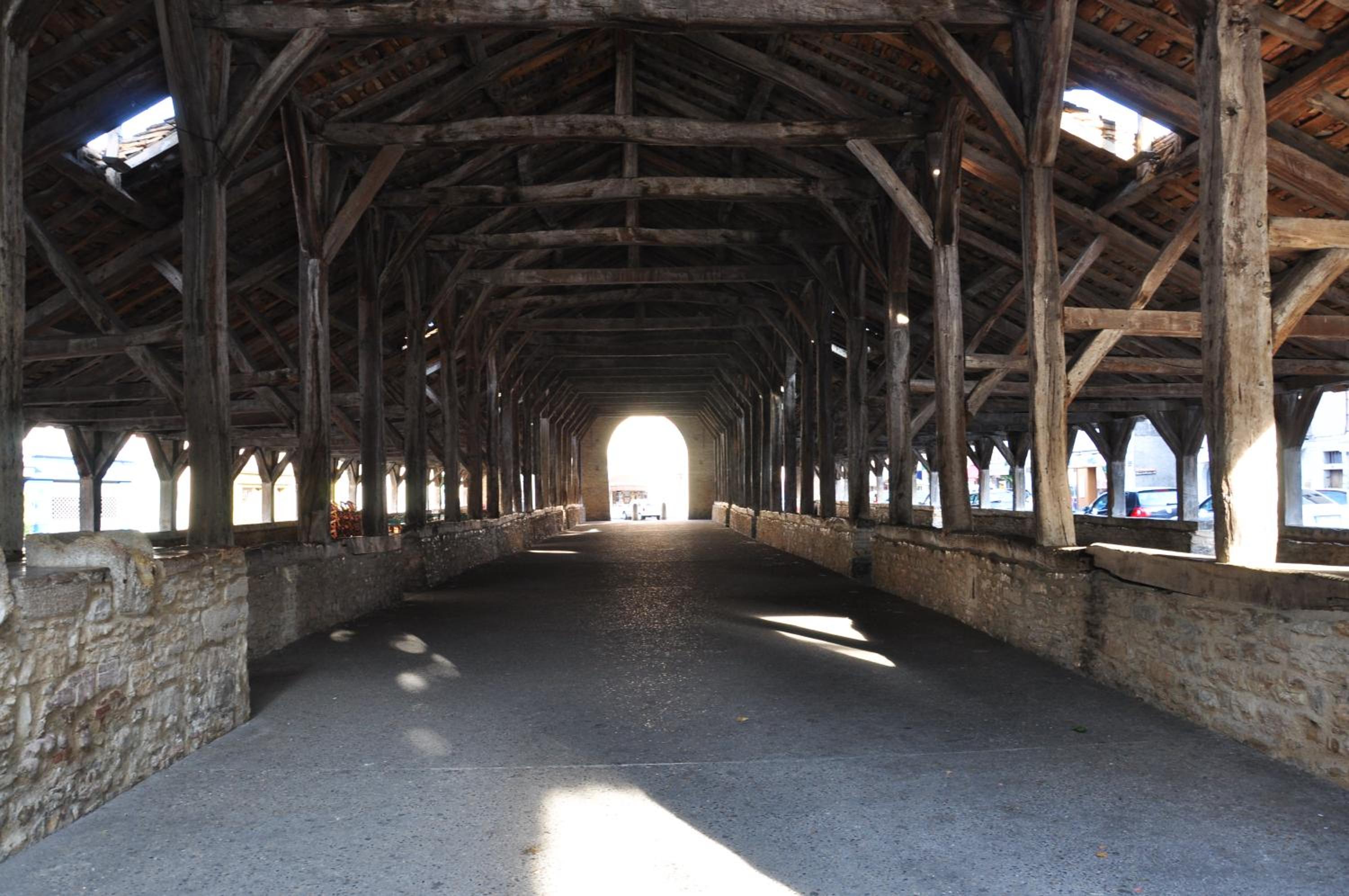 Photo 45