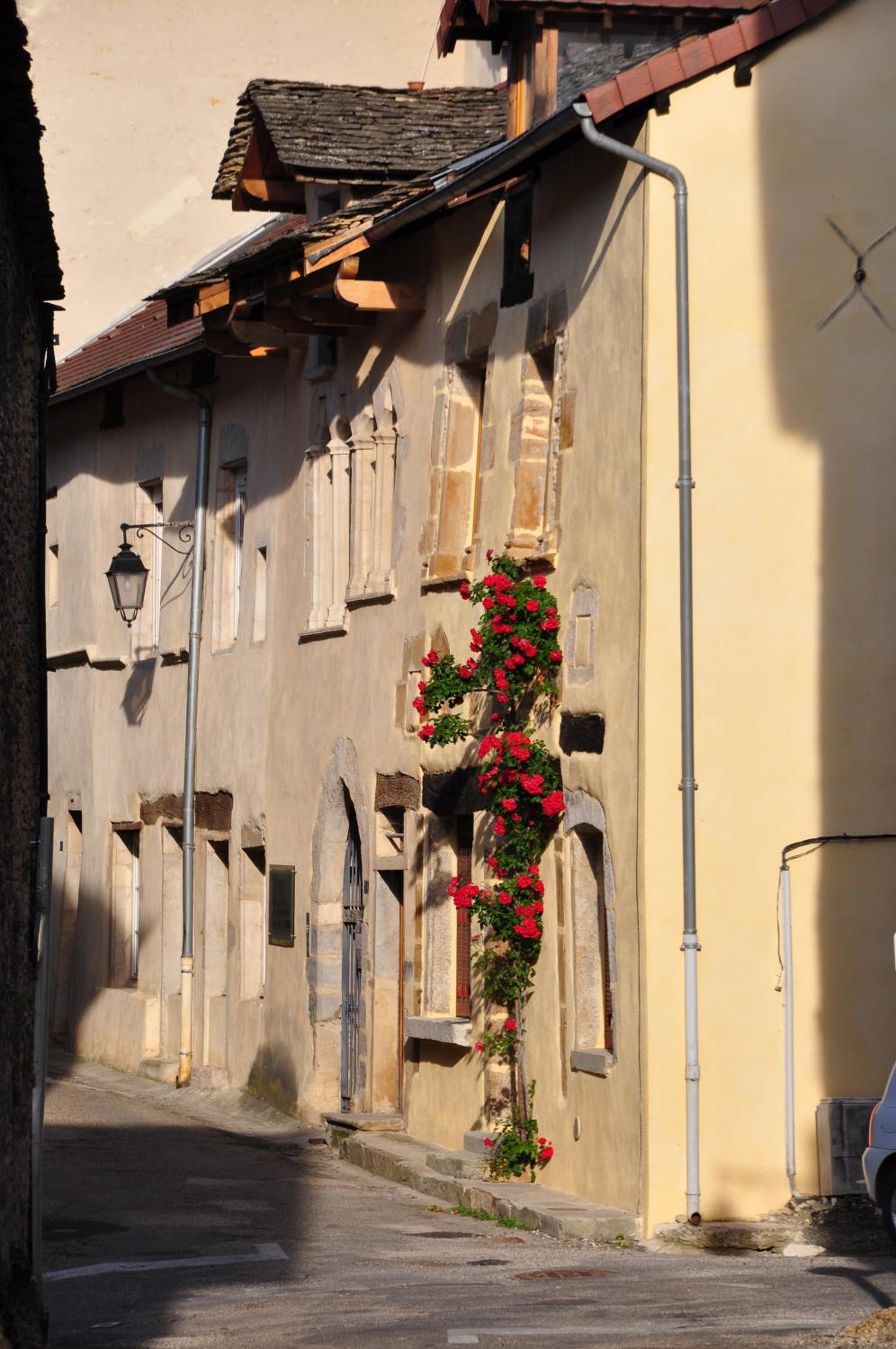 Photo 46