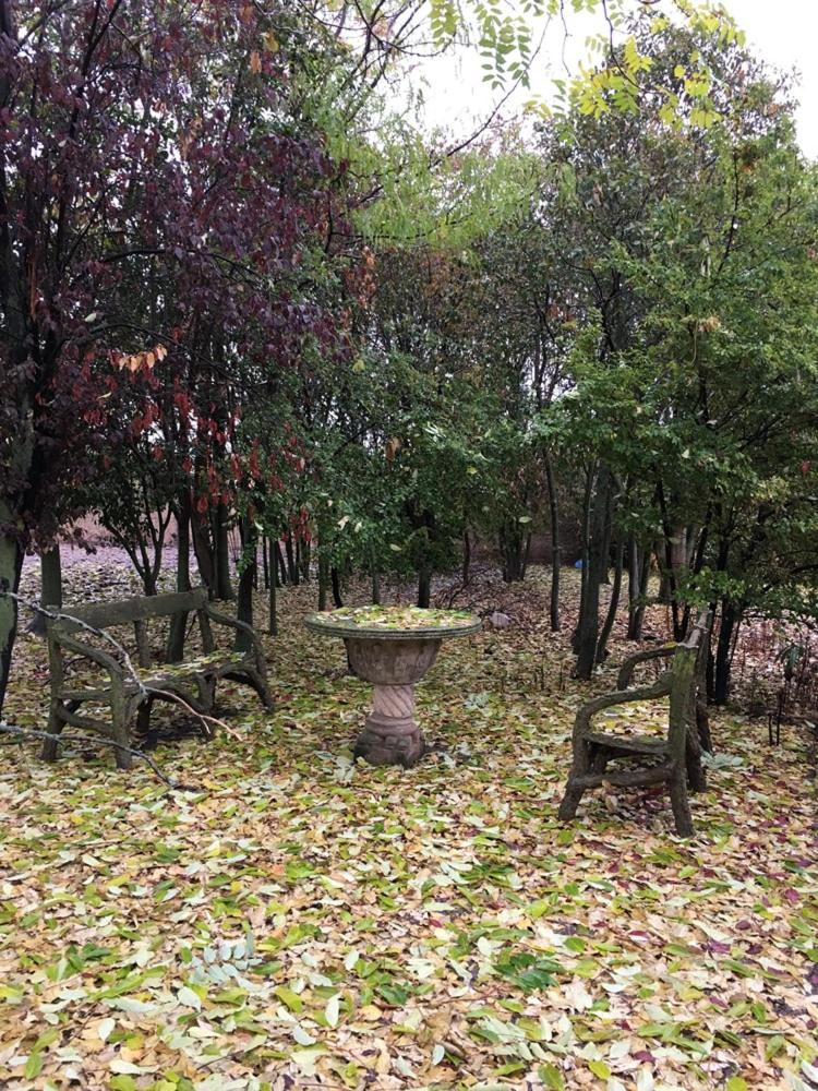 Photo 19