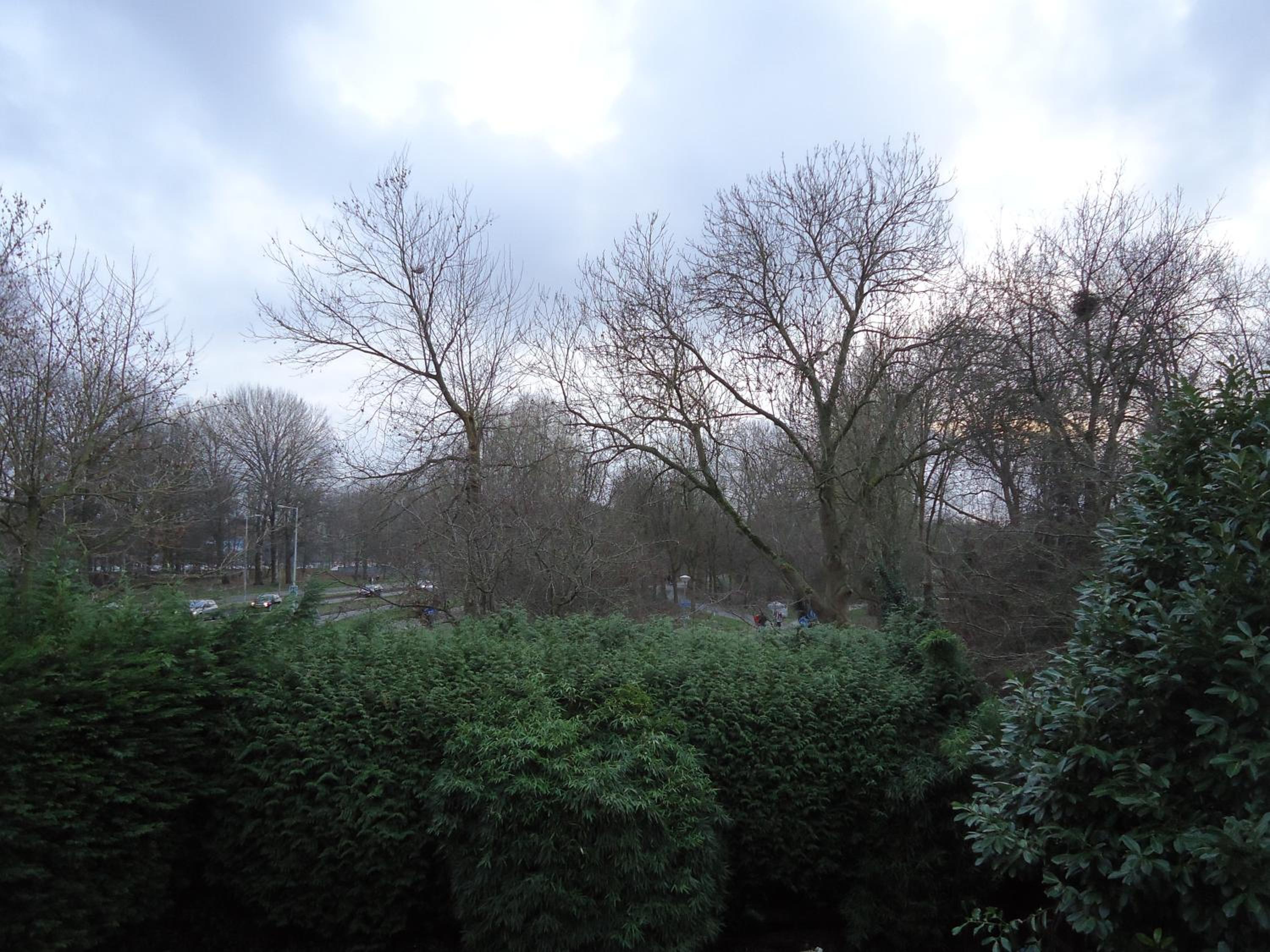 B&B Sloterpark