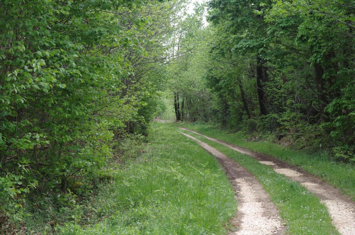 Photo 24