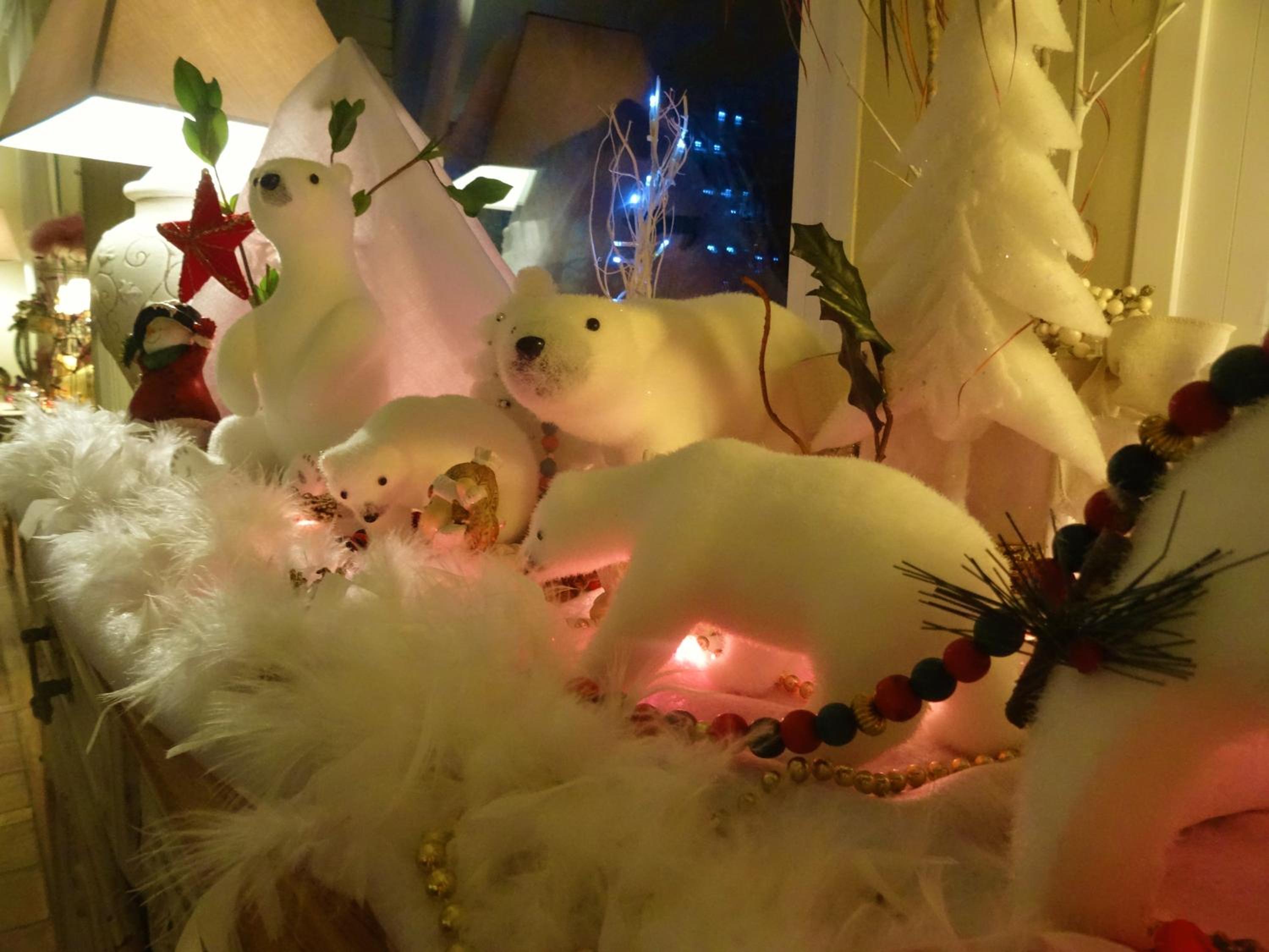 Photo 41