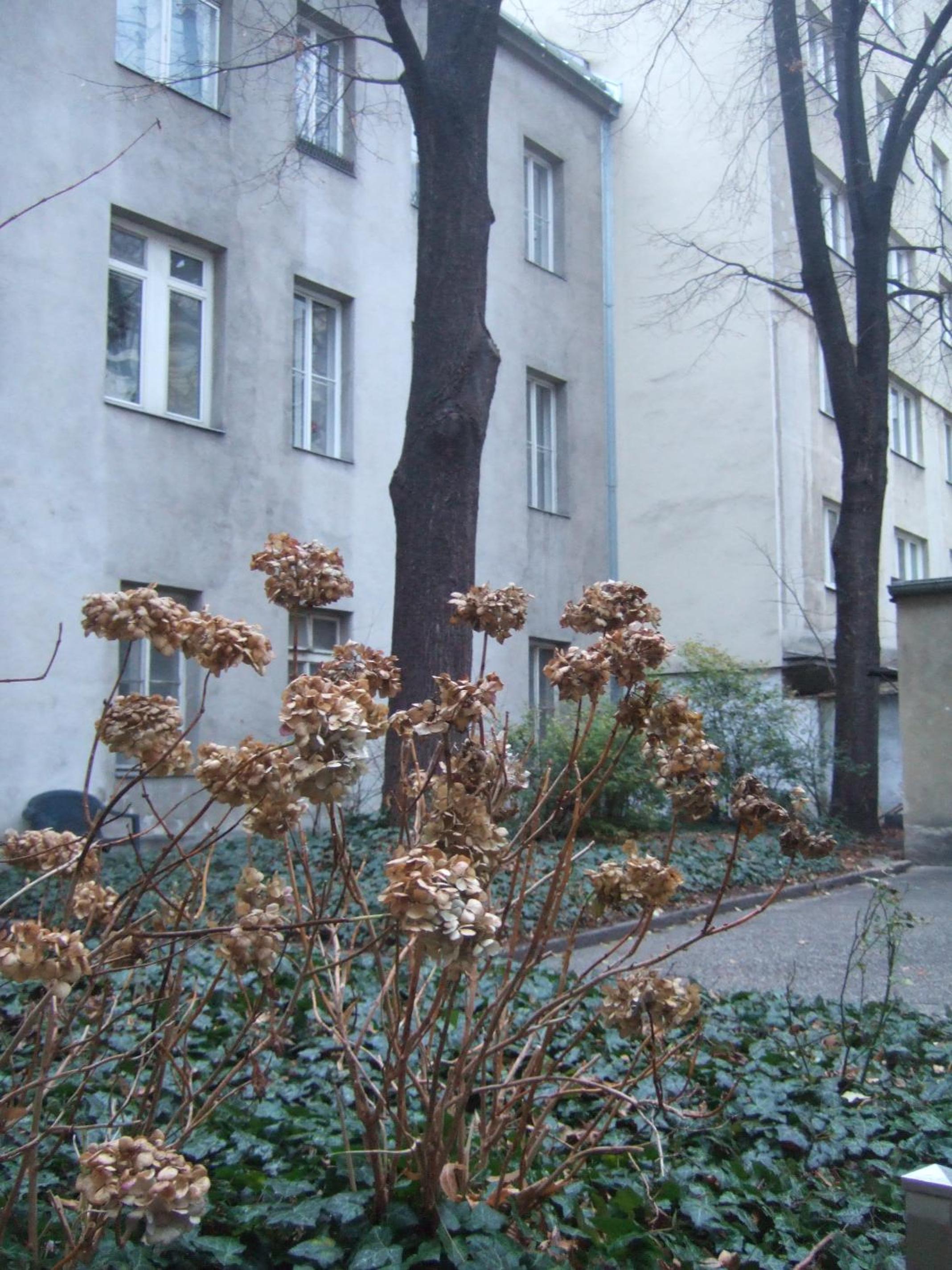 Vienna Top Comfort Apartment