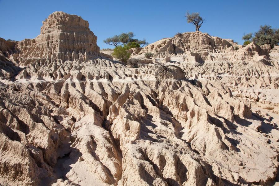 Mungo Lodge