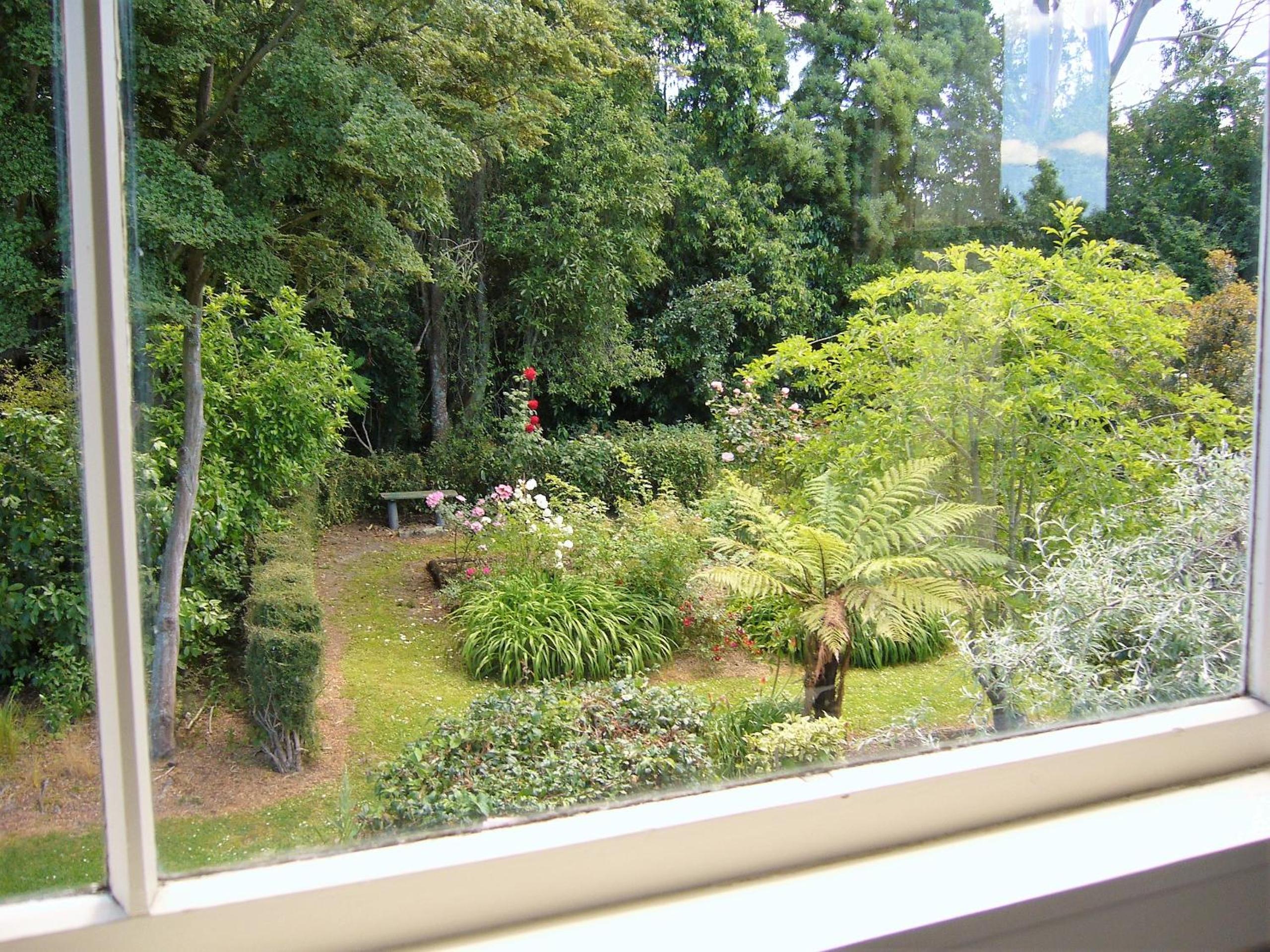 Forest Manor view 5