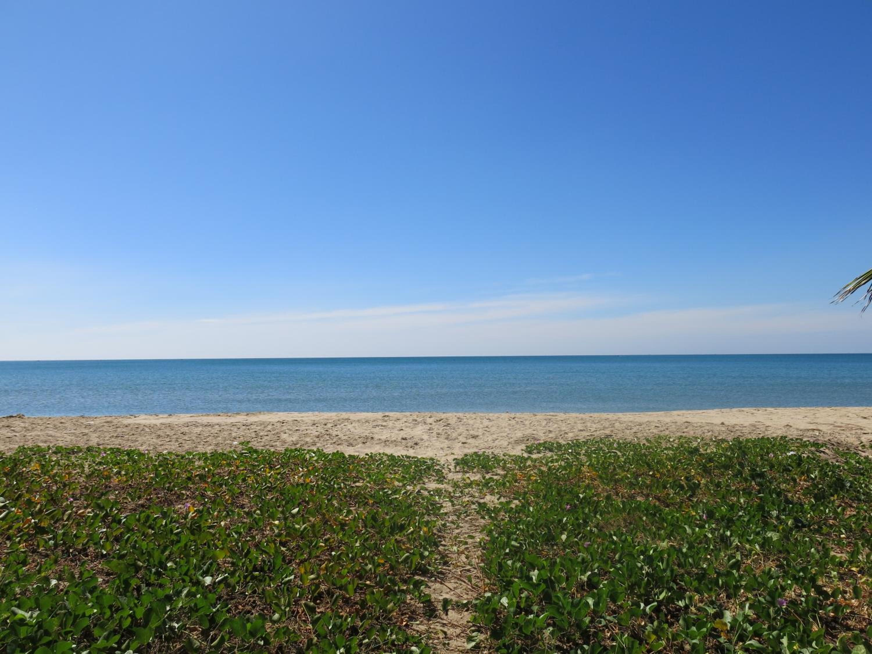 Photo 45