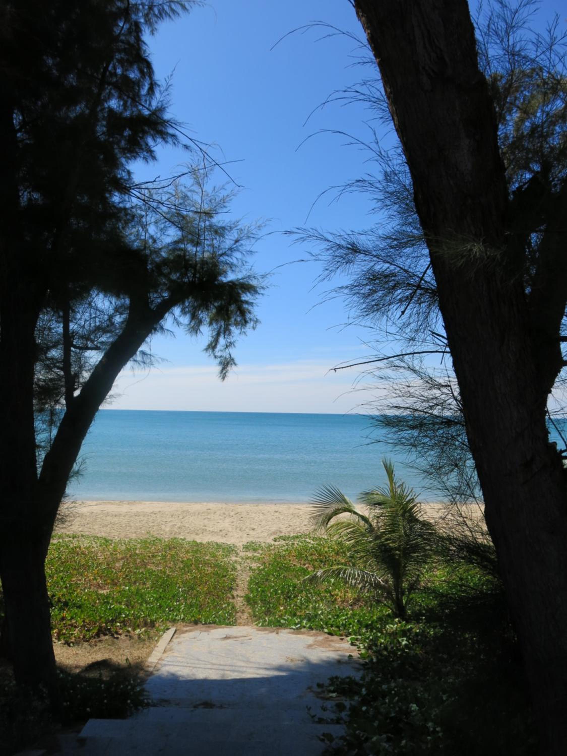 Photo 44