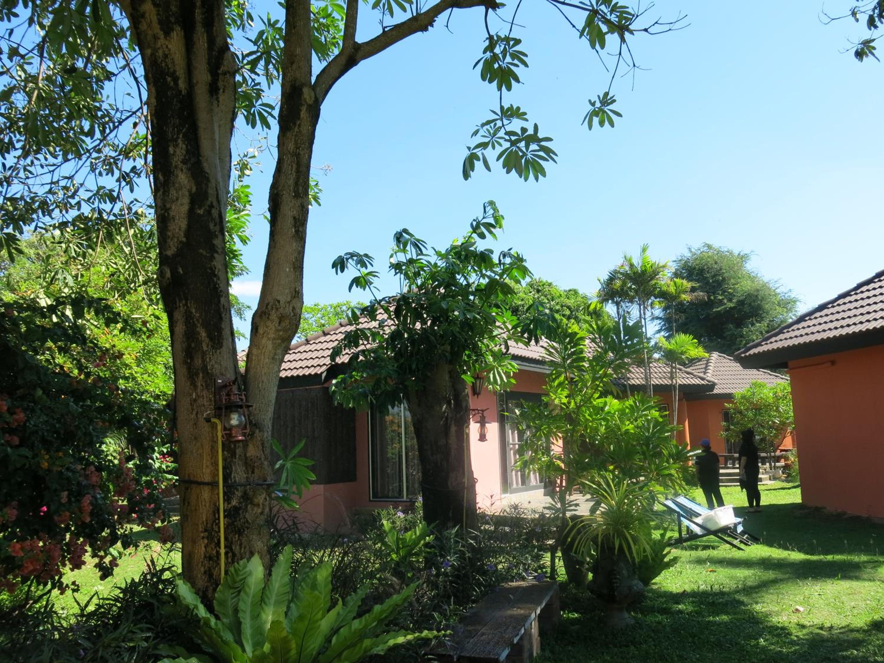 Photo 43
