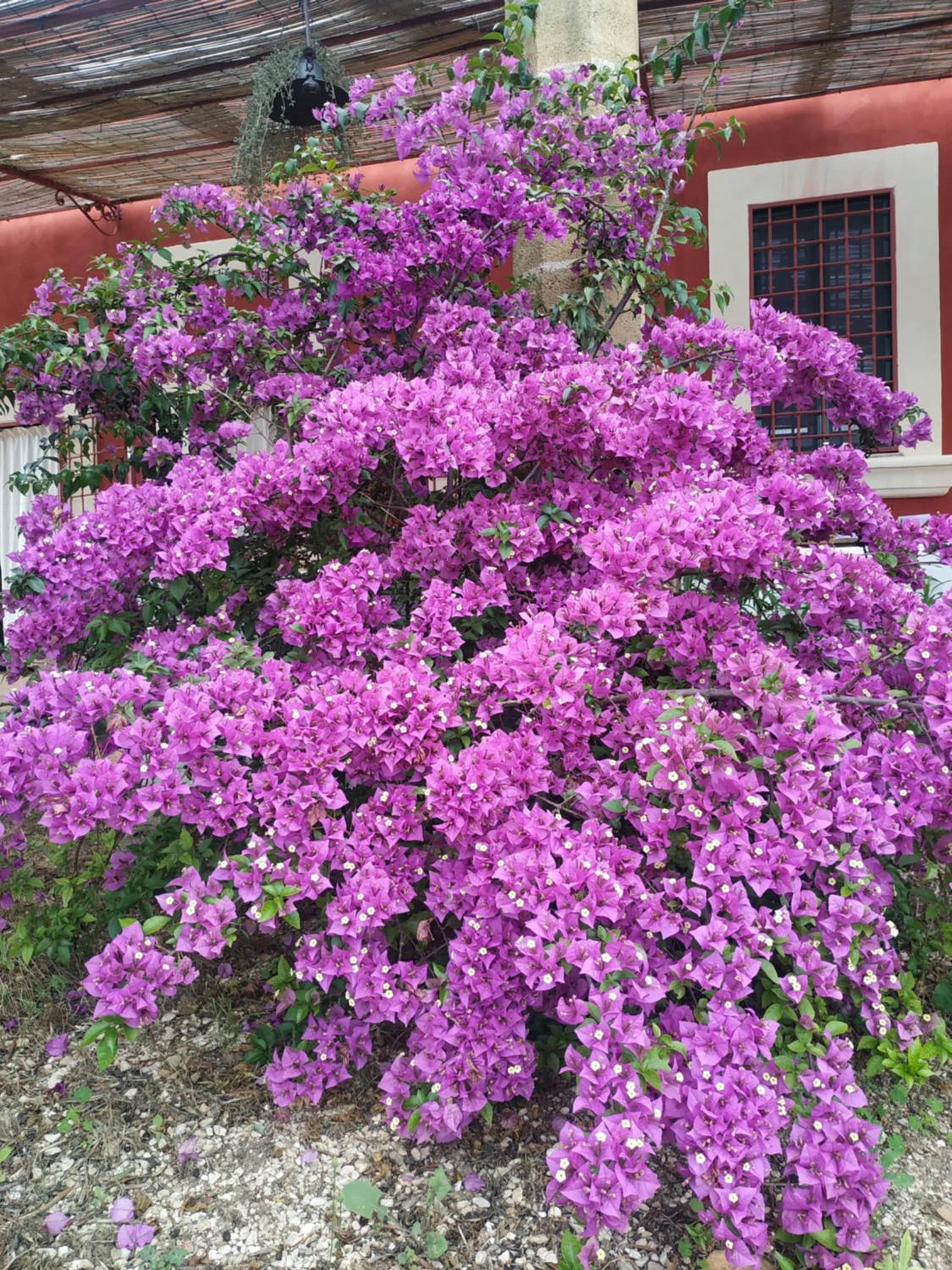 Photo 24