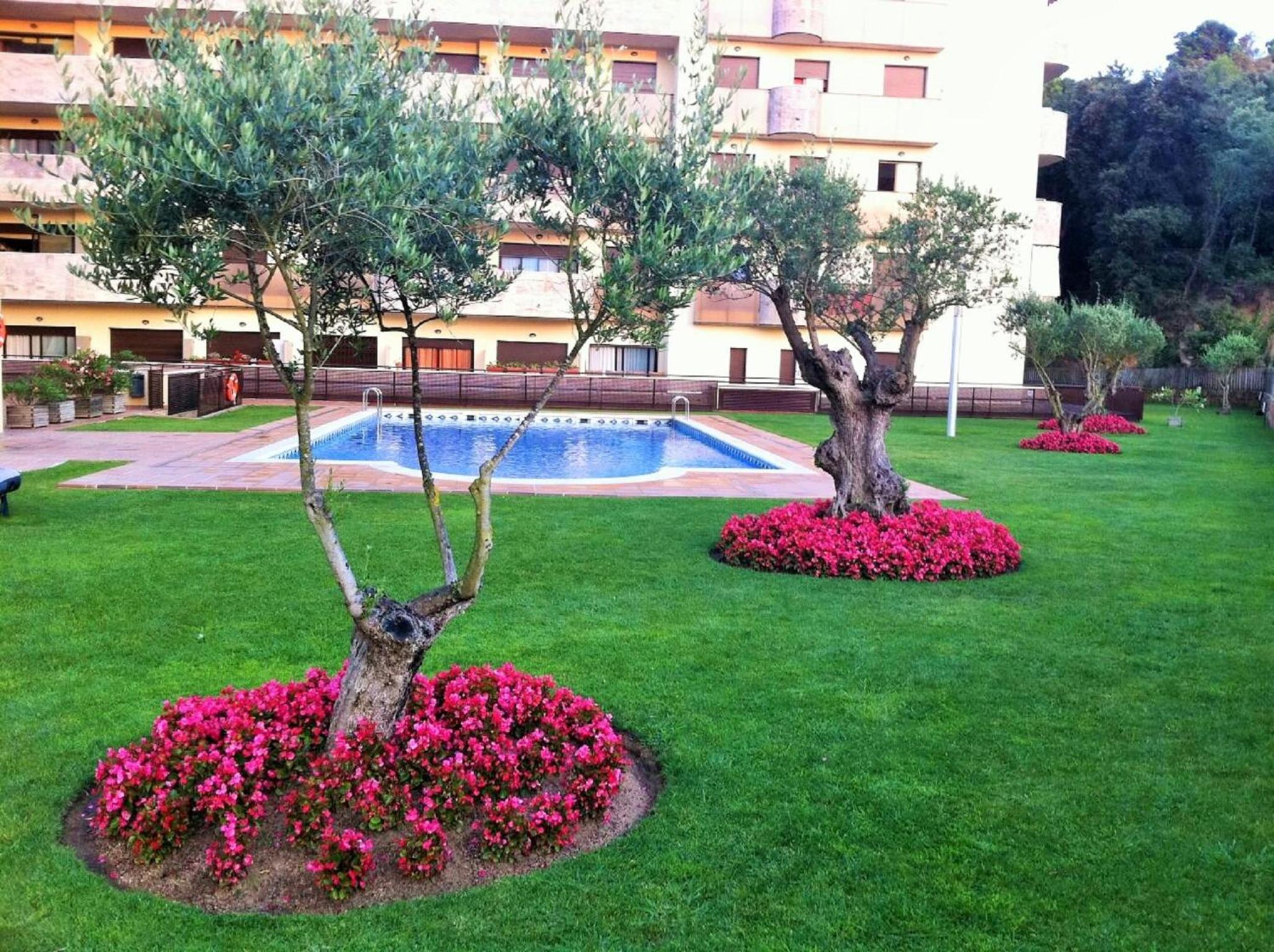 Arion Garden Apartment view 4