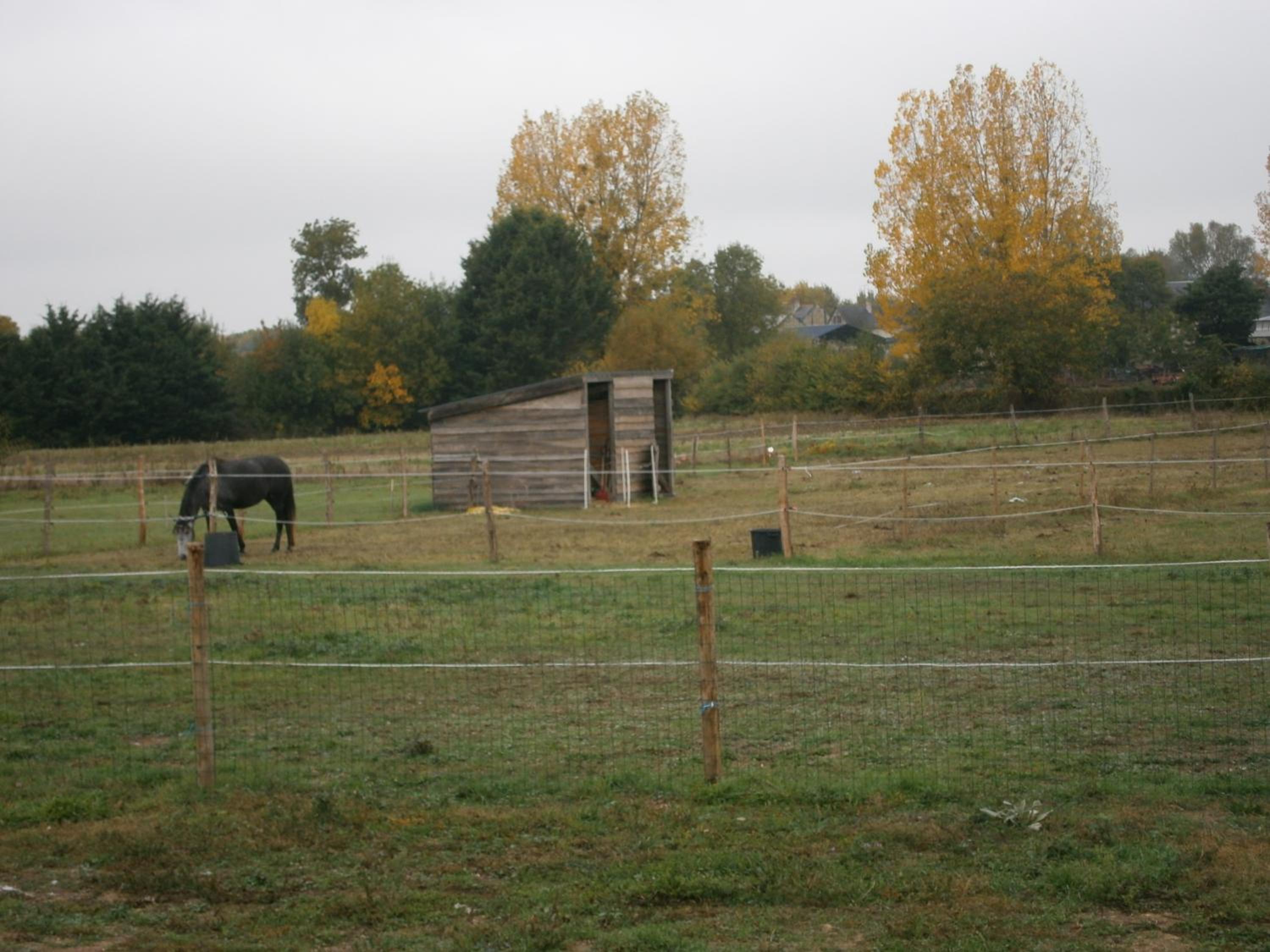 Chez Elisa, photo 16