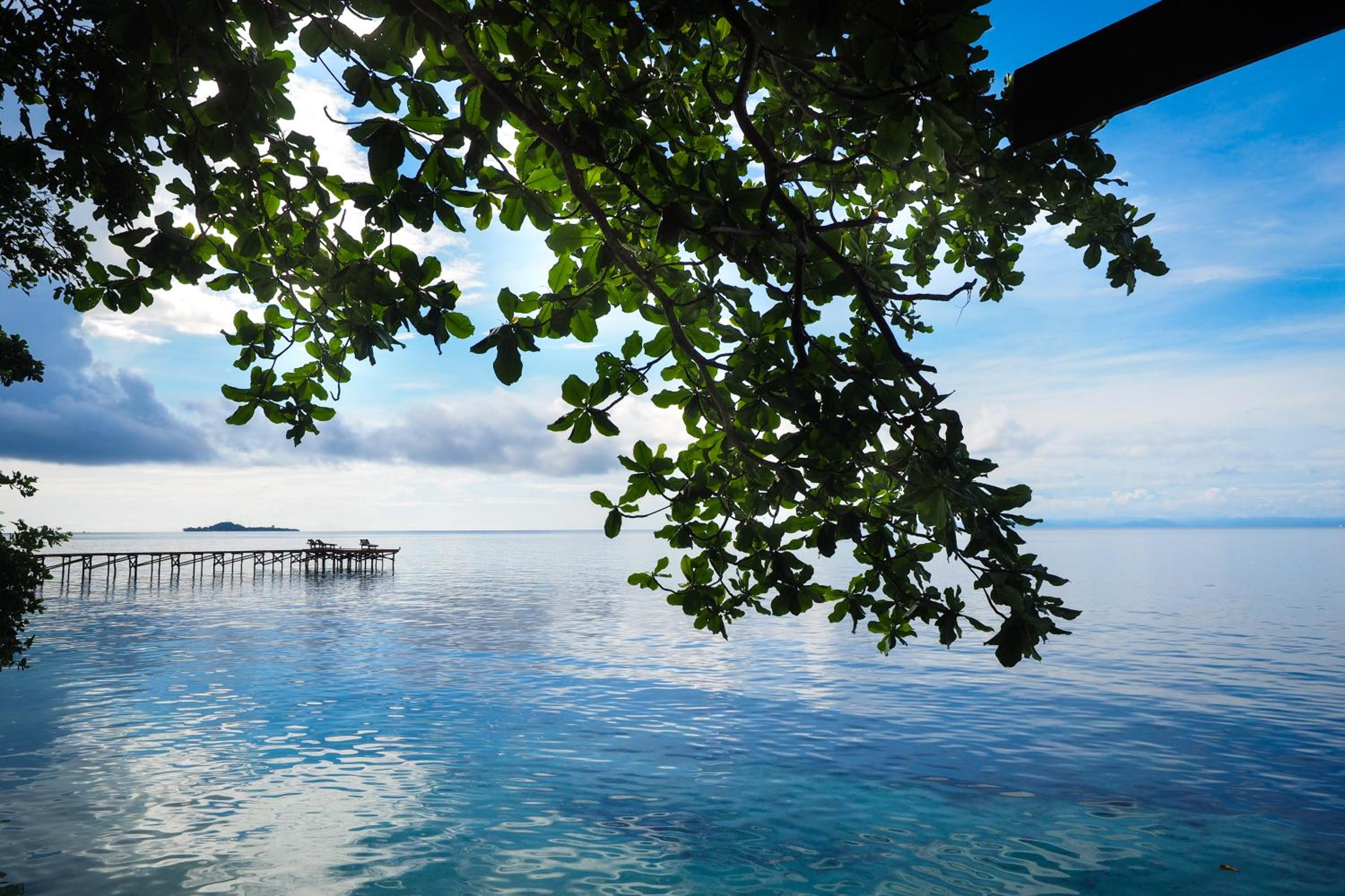Raja Ampat Dive Resort view 3