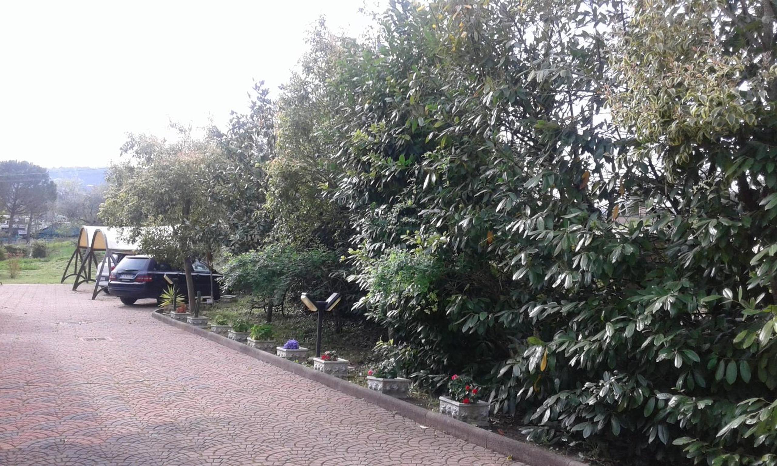 Le Palme view 2
