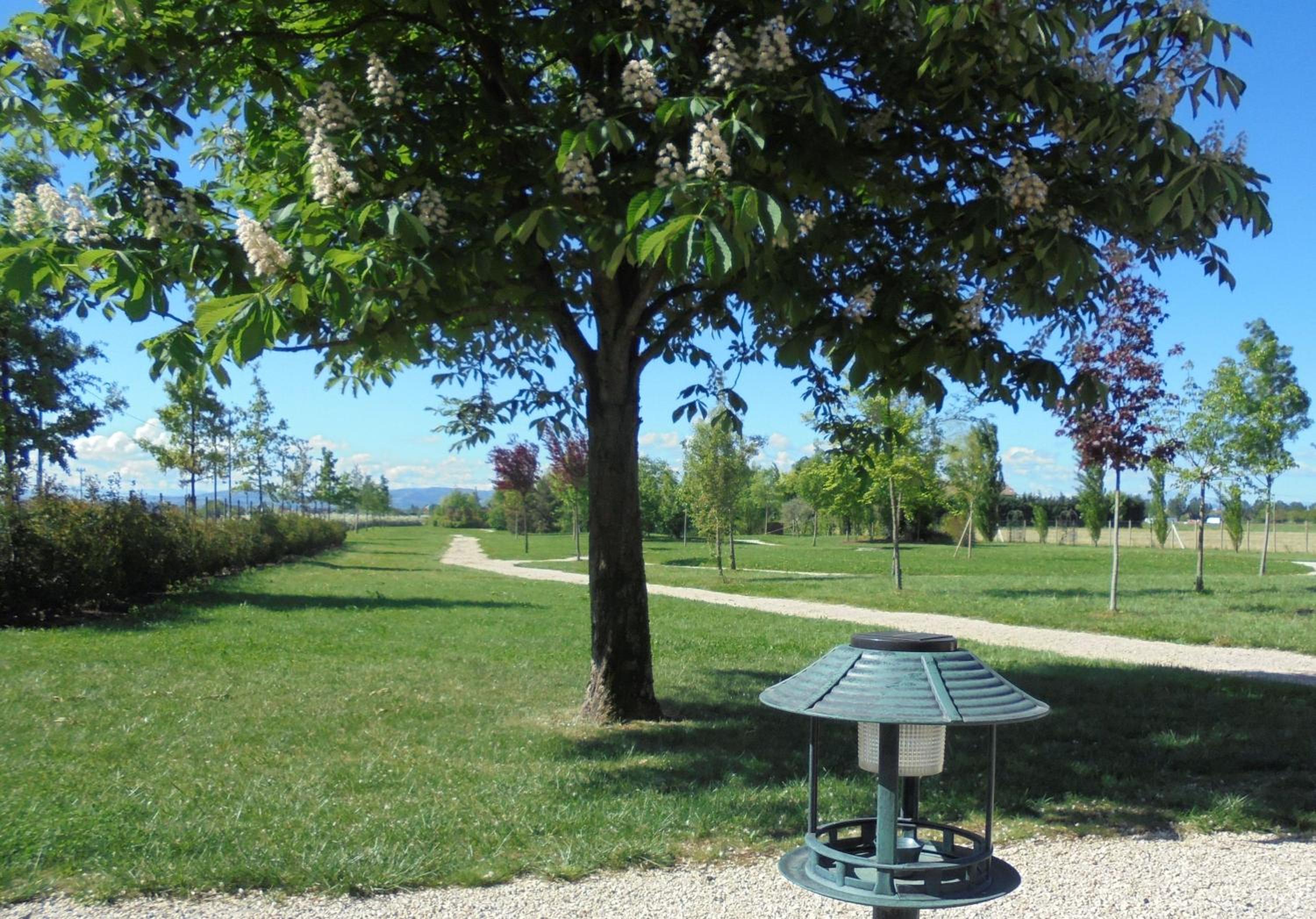 La Casa di Campagna - Property Image 106