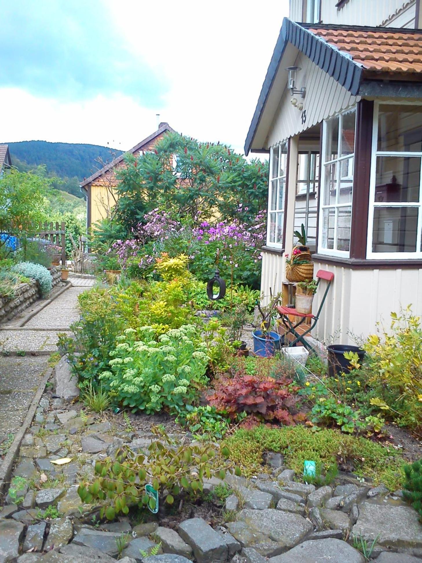 Photo 41