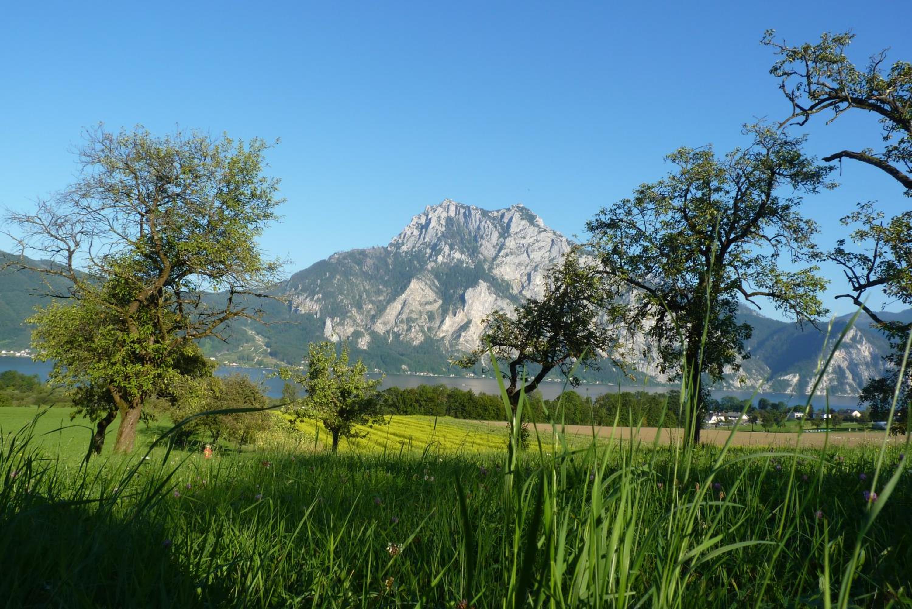 Landgut Wagnerfeld