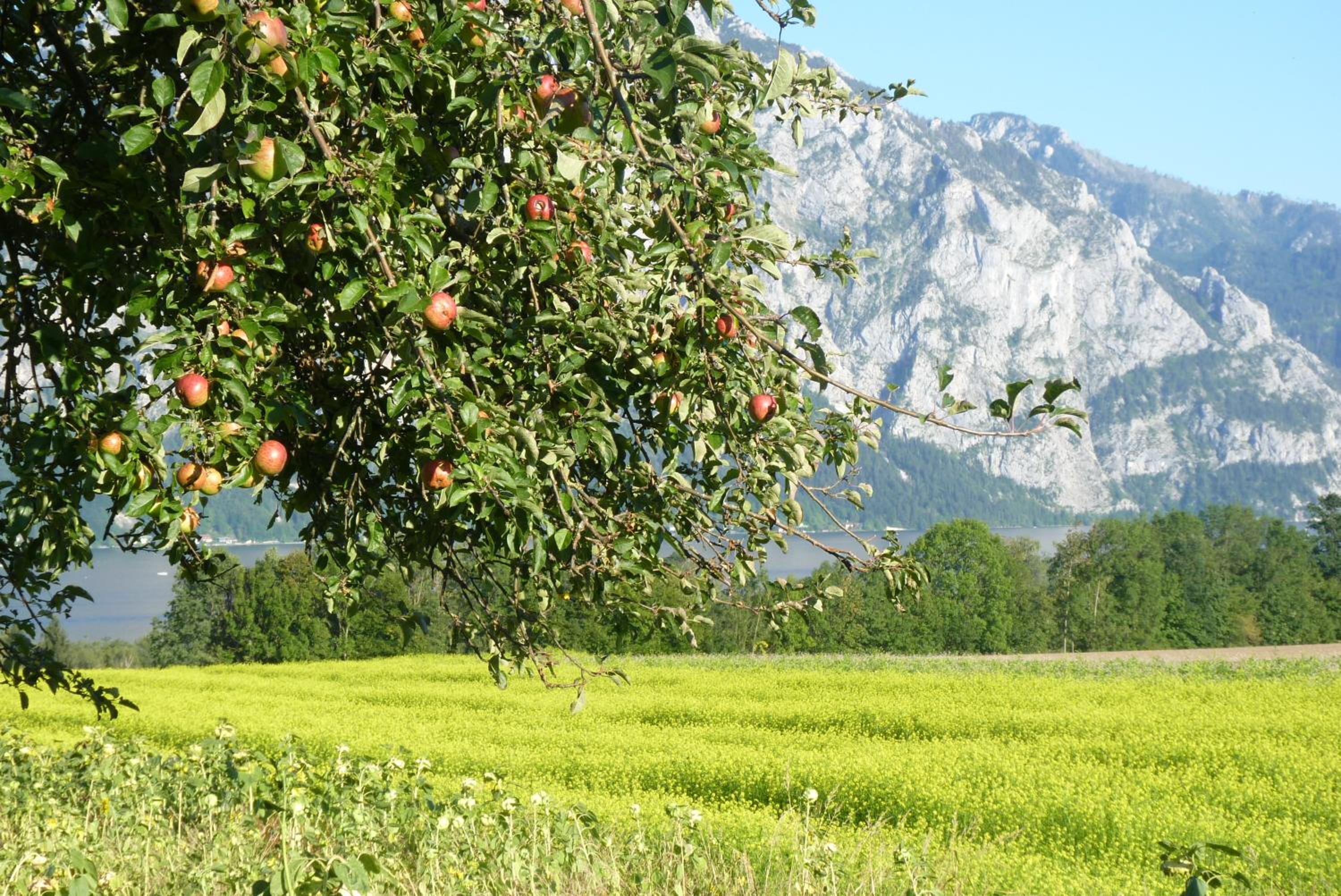 Landgut Wagnerfeld