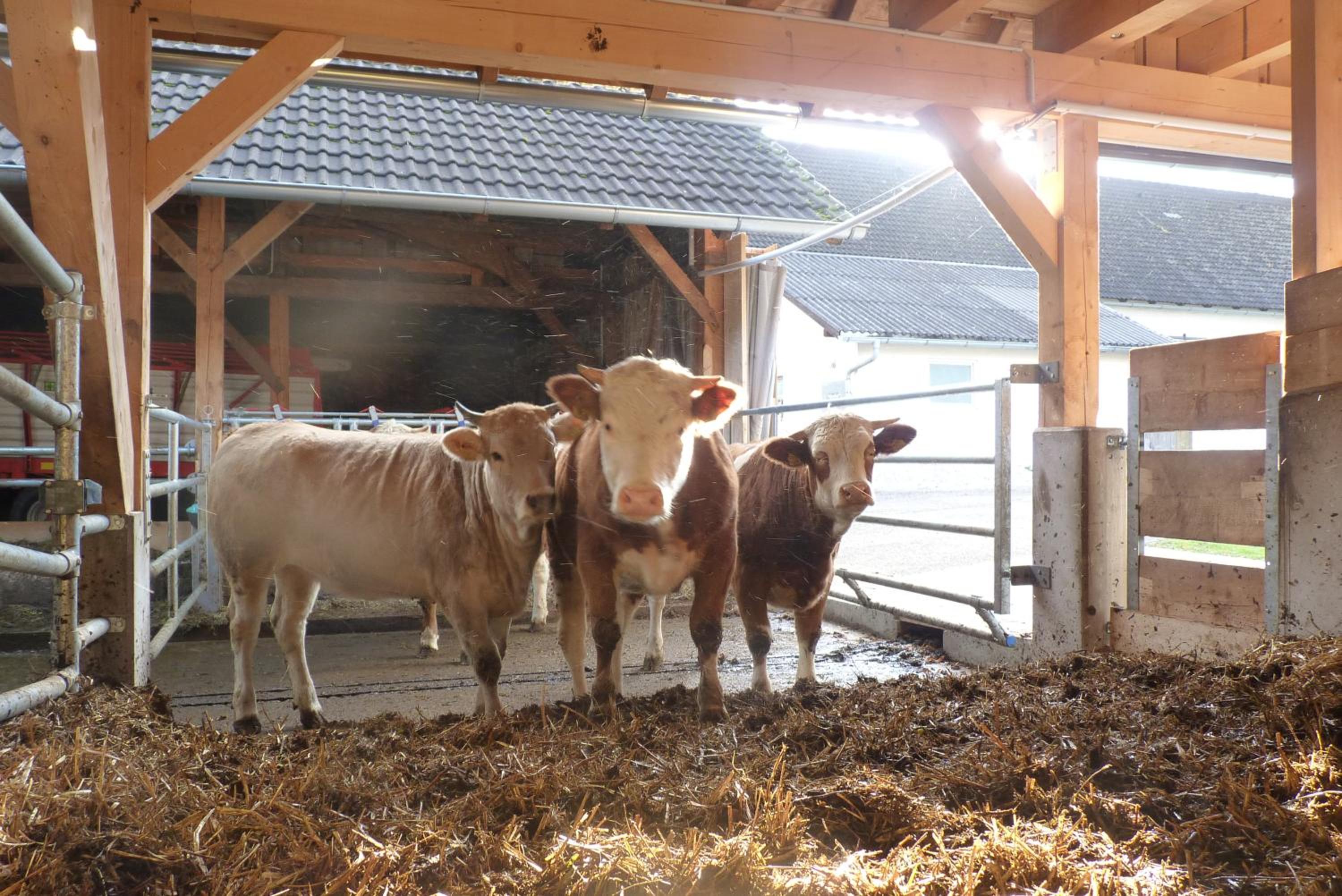 Landgut Wagnerfeld