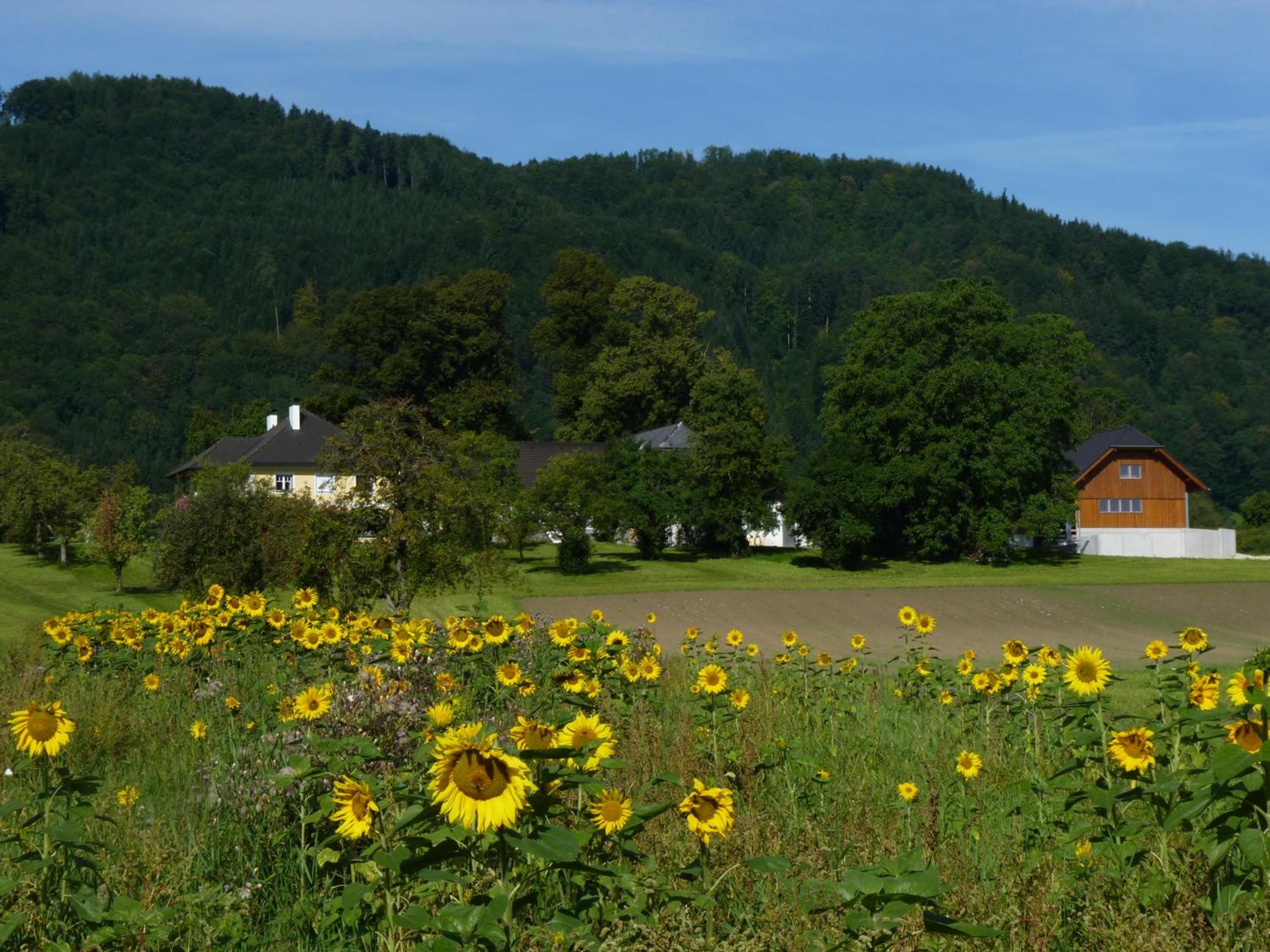 Landgut Wagnerfeld