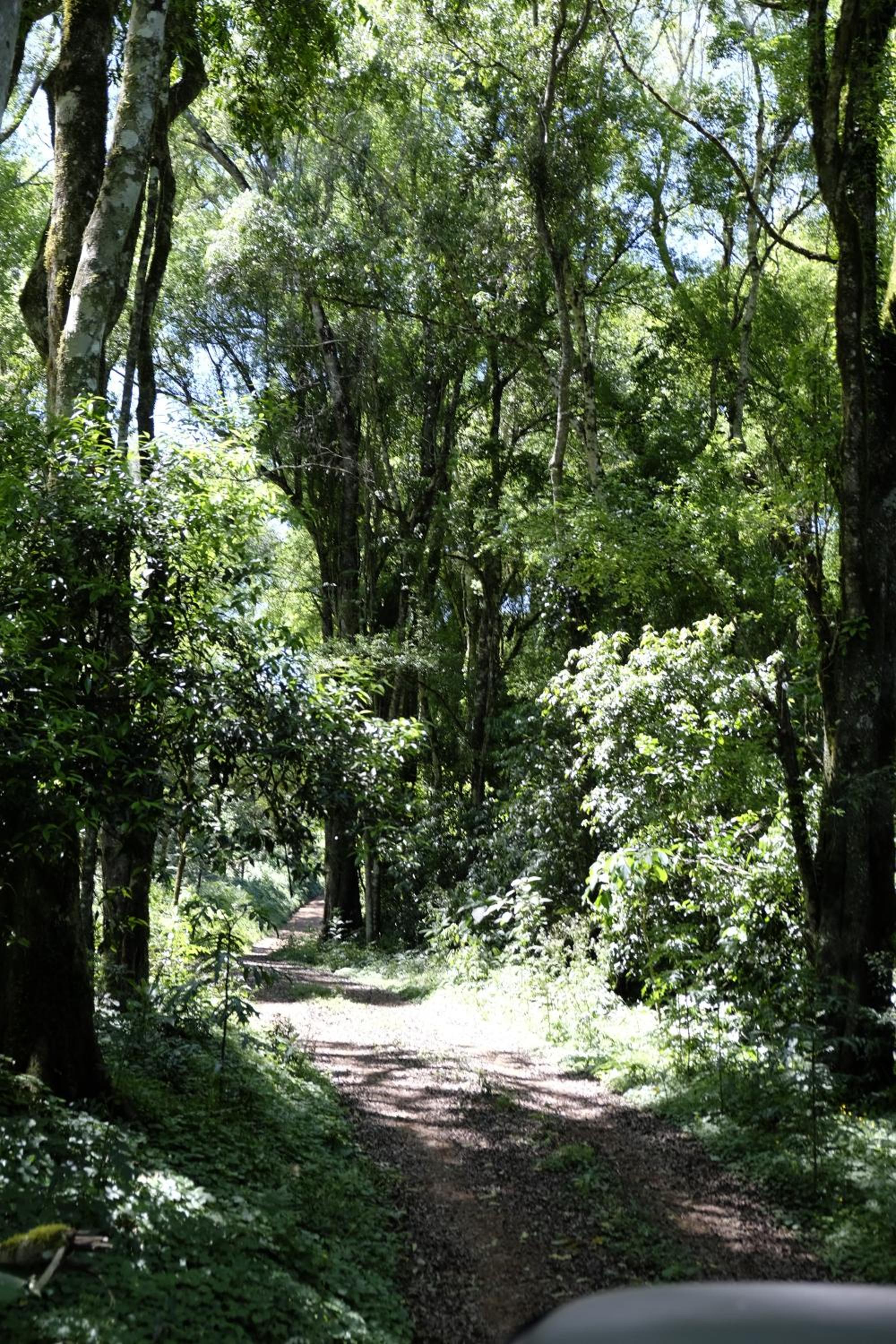 La Mision Mocona - Lodge de Selva