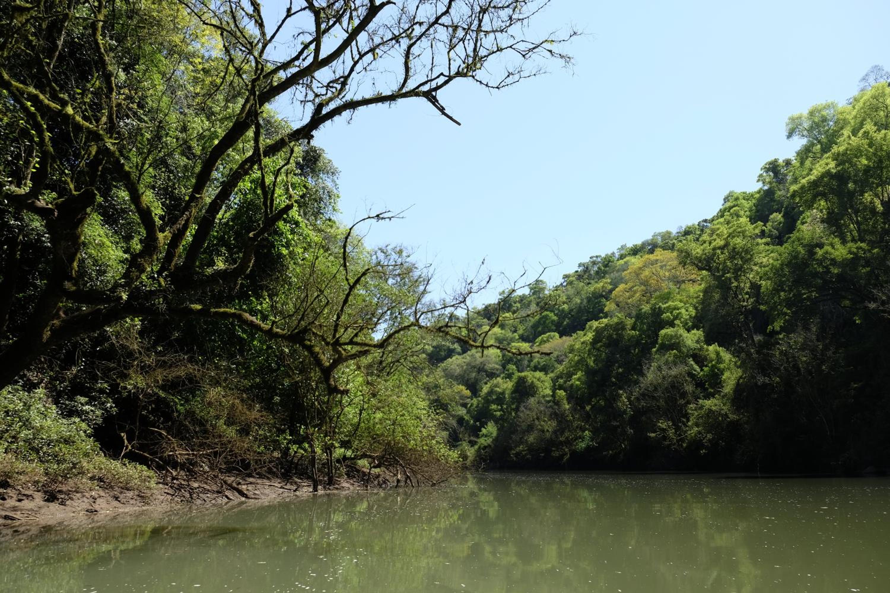 La Mision Mocona - Lodge de Selva