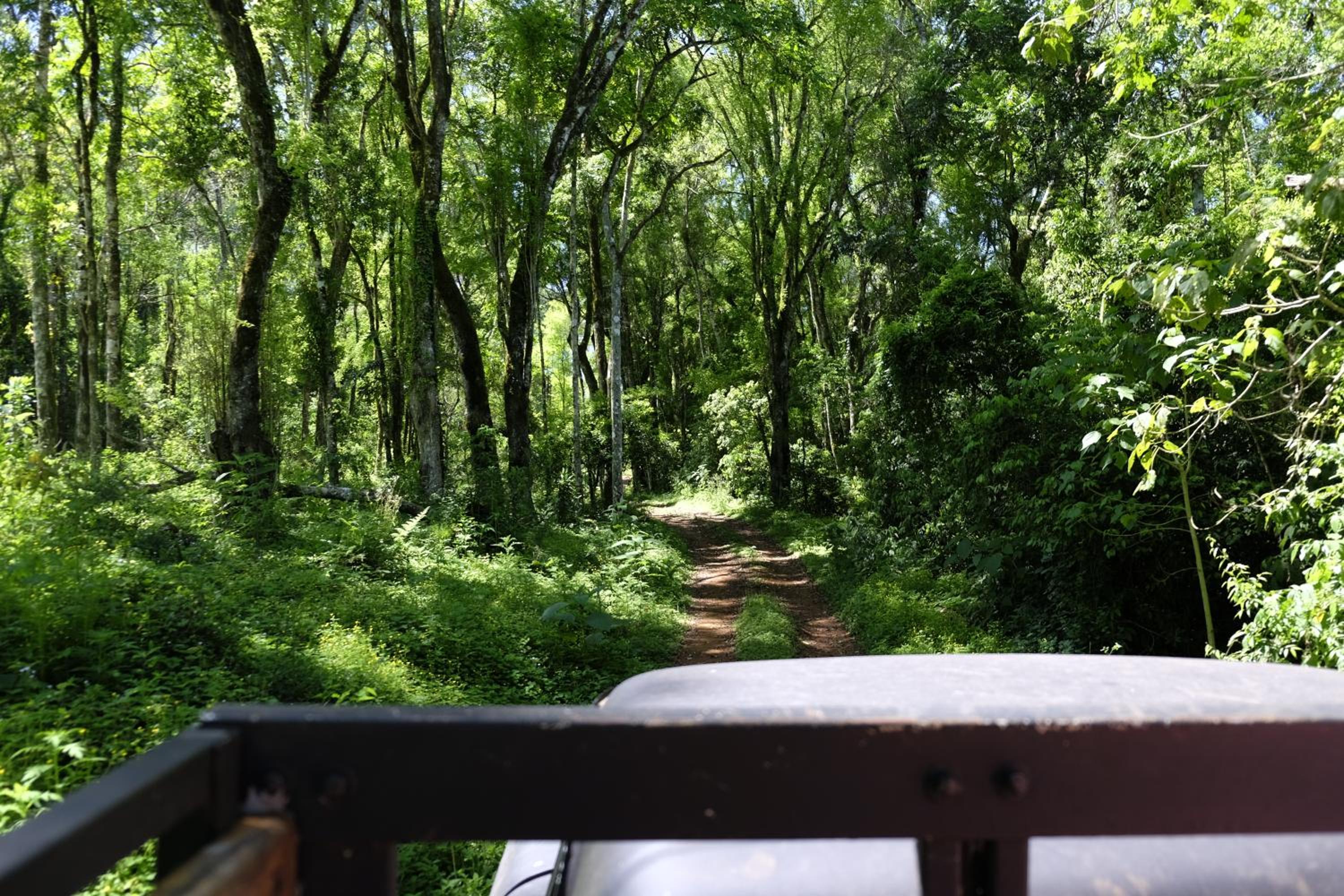 La Mision Mocona - Lodge de Selva
