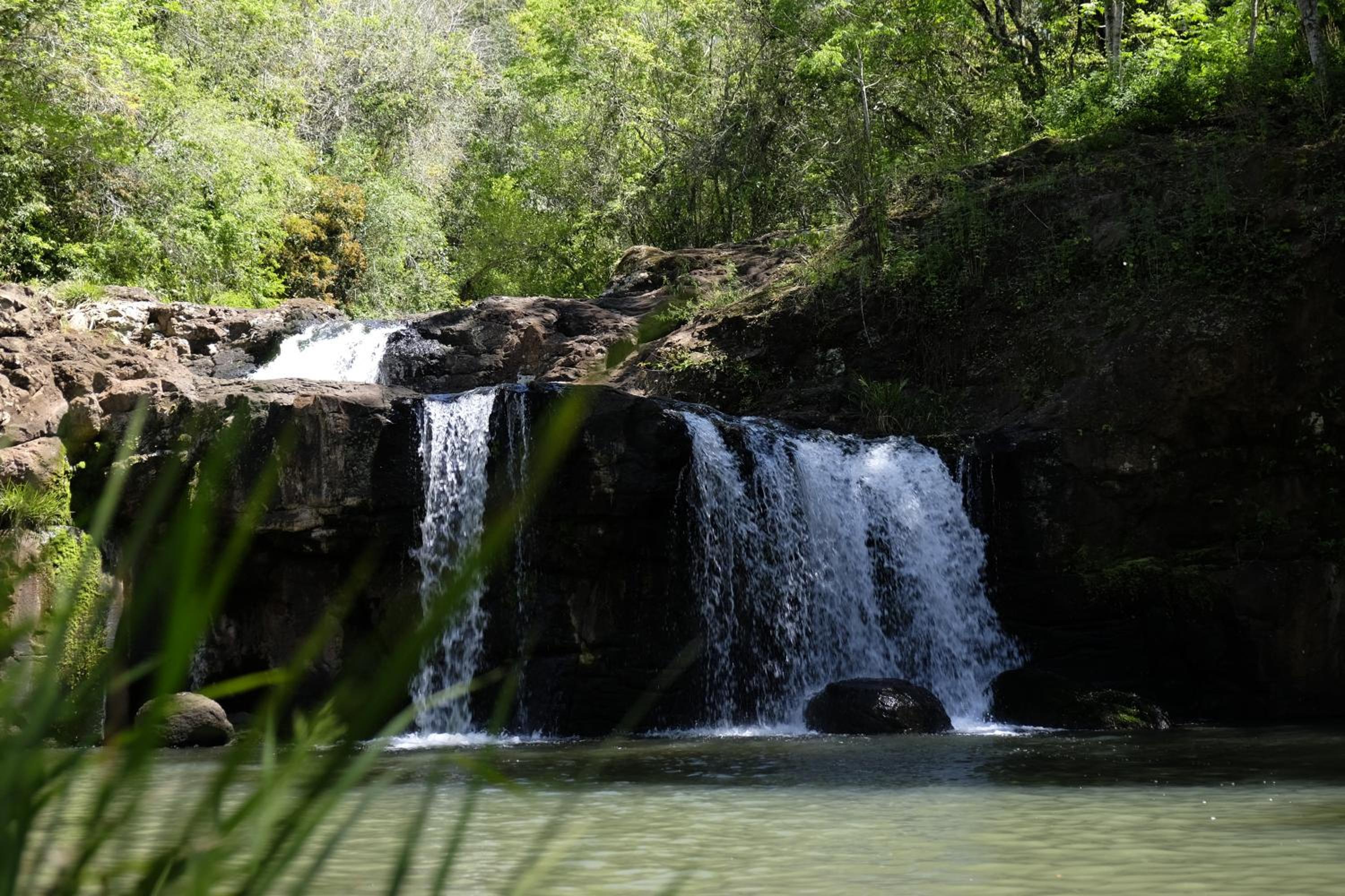 La Mision Mocona - Lodge de Selva