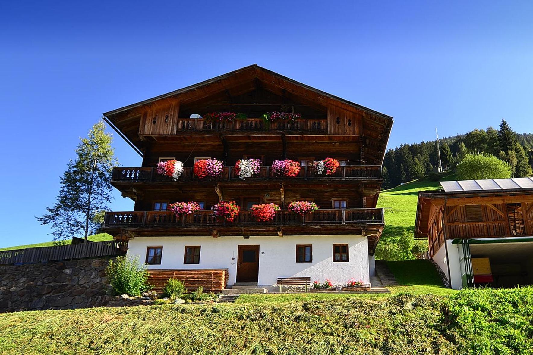 Ferienwohnung Peintnerhof view 2
