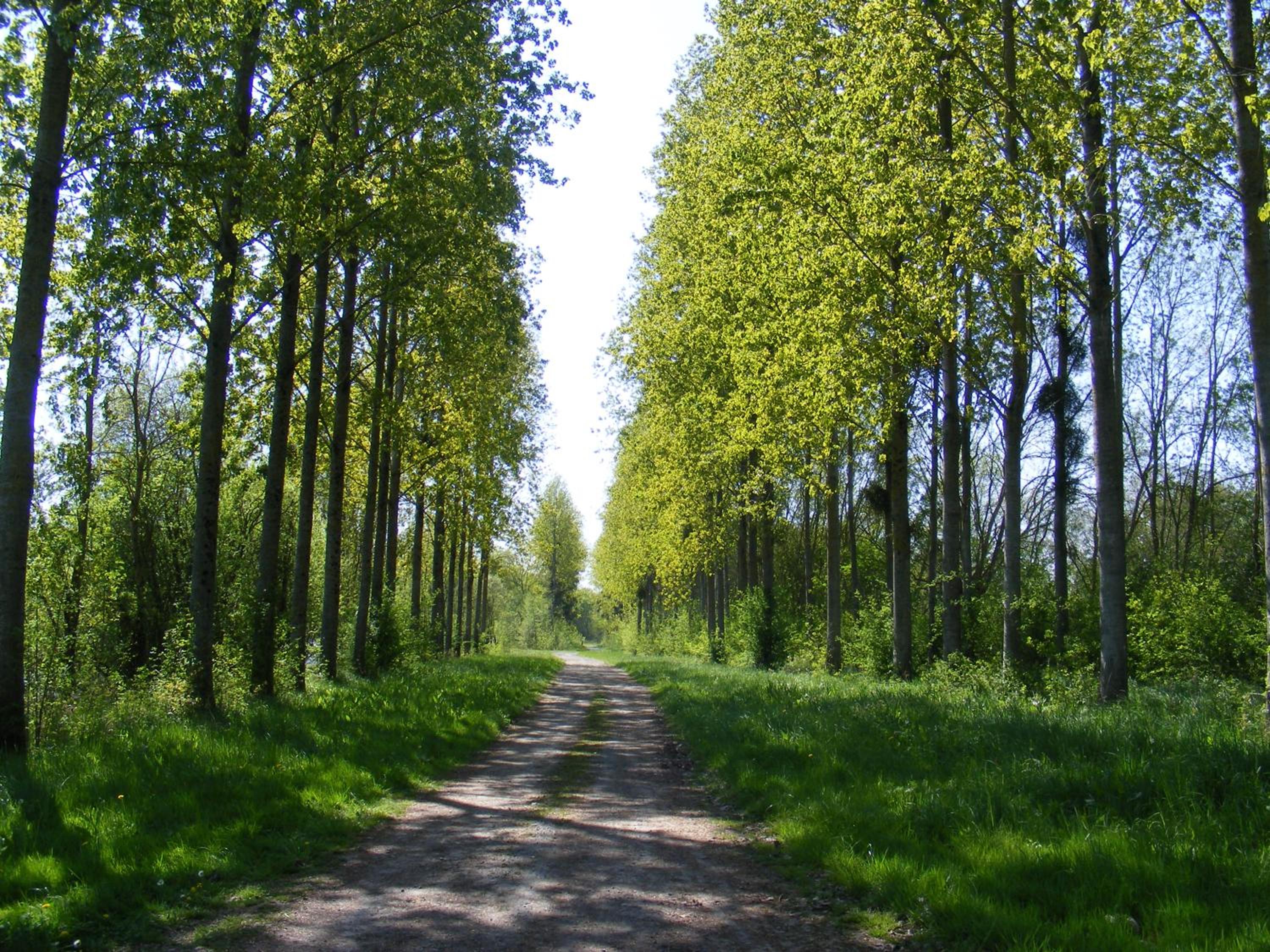 Chambres d'Hôtes Vignes et Loire