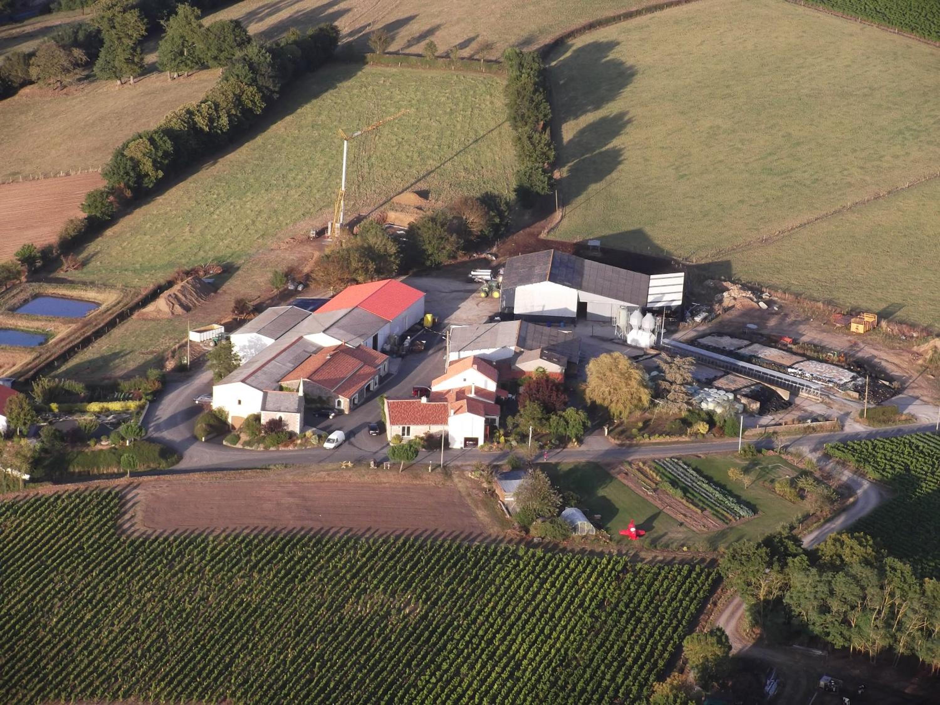 Chambres d'Hôtes Vignes et Loire