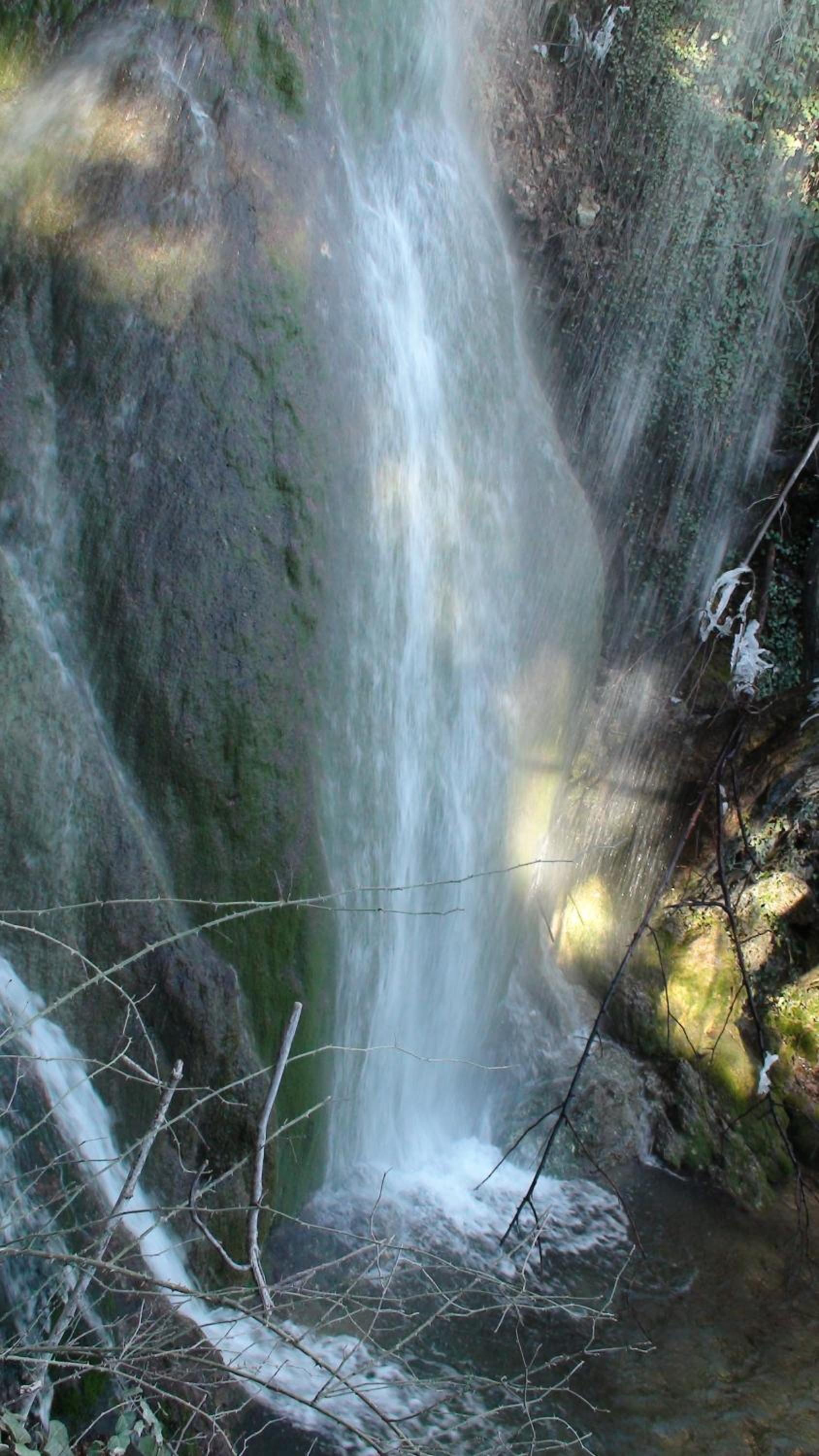 Photo 48