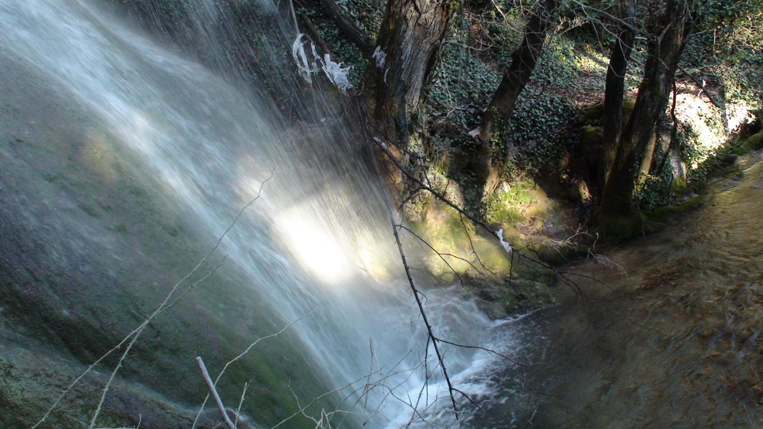 Photo 45