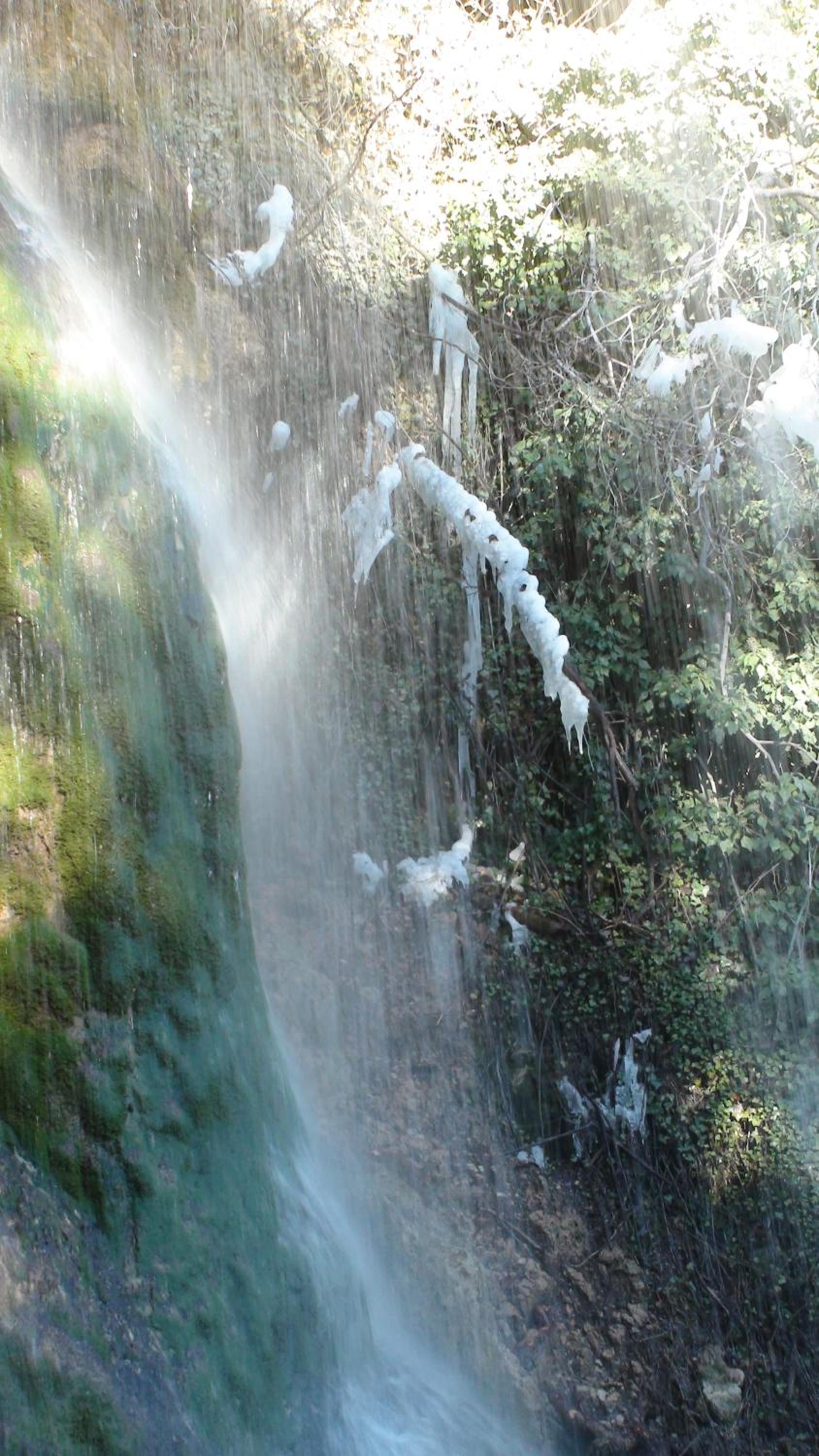 Photo 46